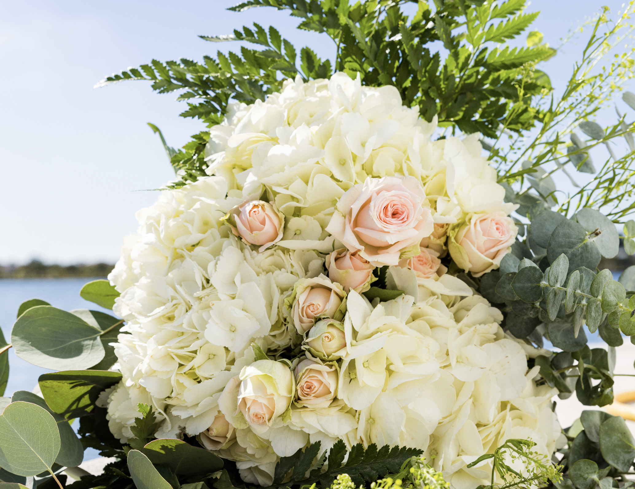 Screenshot 2026-03-17 at 10.38.44 PM.png