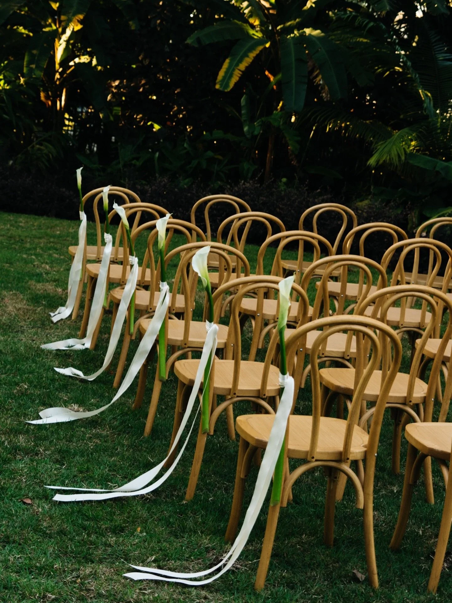 Before the vows

Venue: @miamibeachgarden @miamibeach_garden_events
Photography: @sofiperazzo 
Florals: @intertwinefloral
Chef: @fakiundow 
DJ: @shift___ 
Lighting: @ionitstudios 
Rentals: @rumbaseventrentals 
Makeup: @marcoartistry 
Hair: @vanessabr