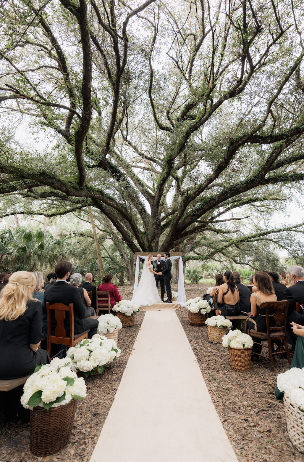 Screenshot 2025-03-14 at 9.41.16 PM.png