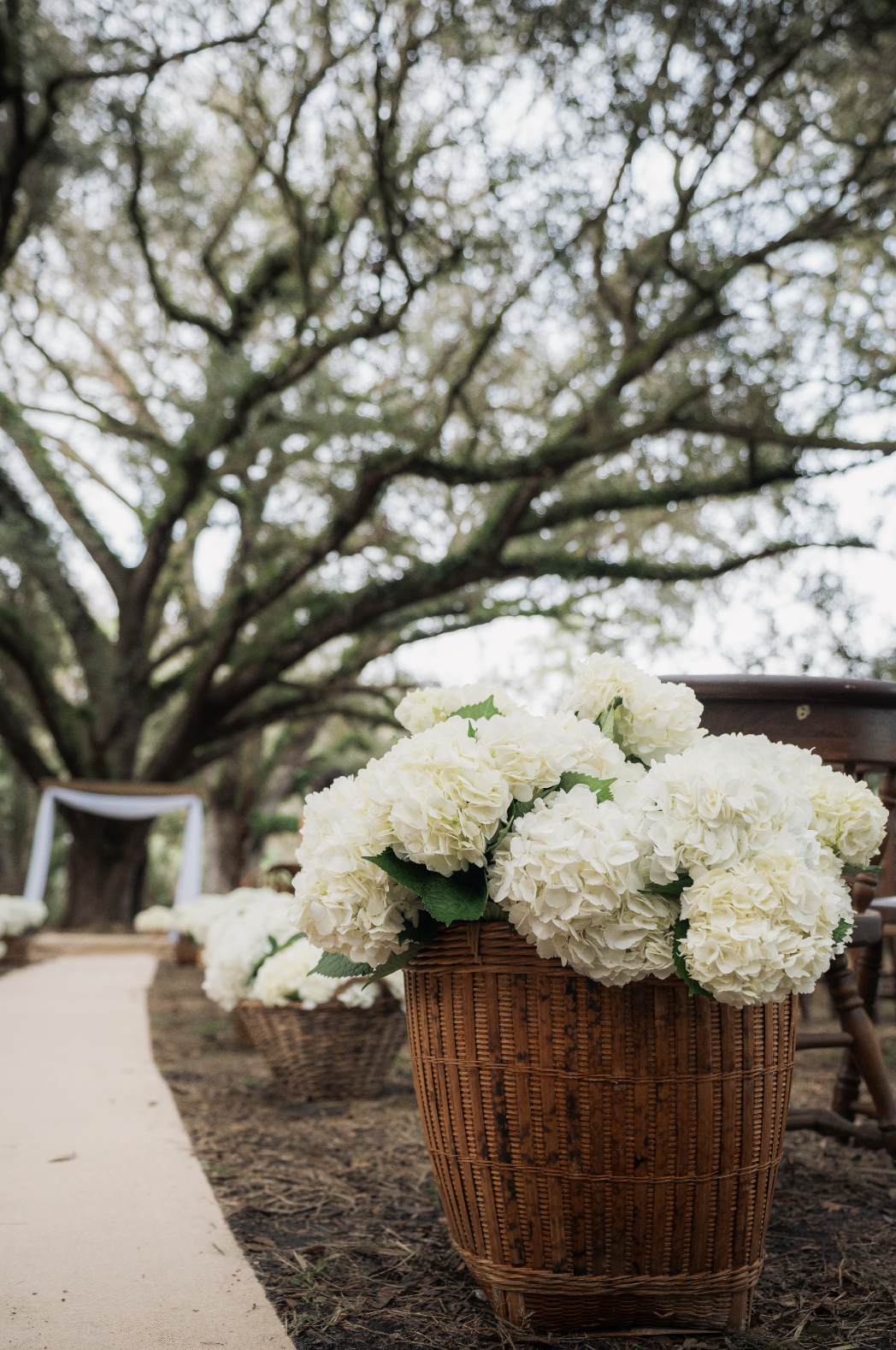 Screenshot 2026-03-17 at 10.01.16 PM.png