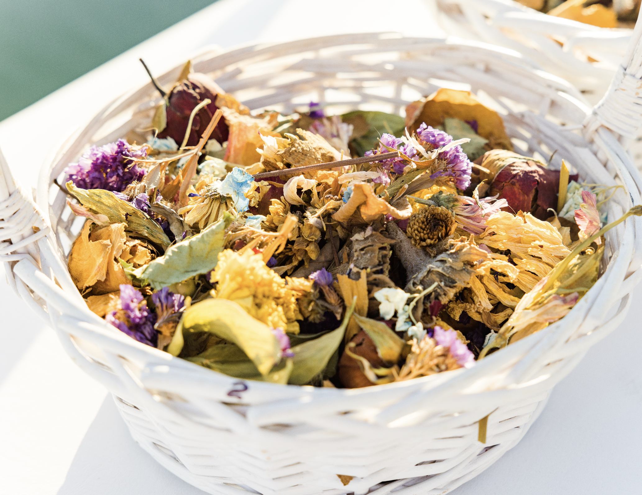 Screenshot 2026-03-17 at 10.33.14 PM.png