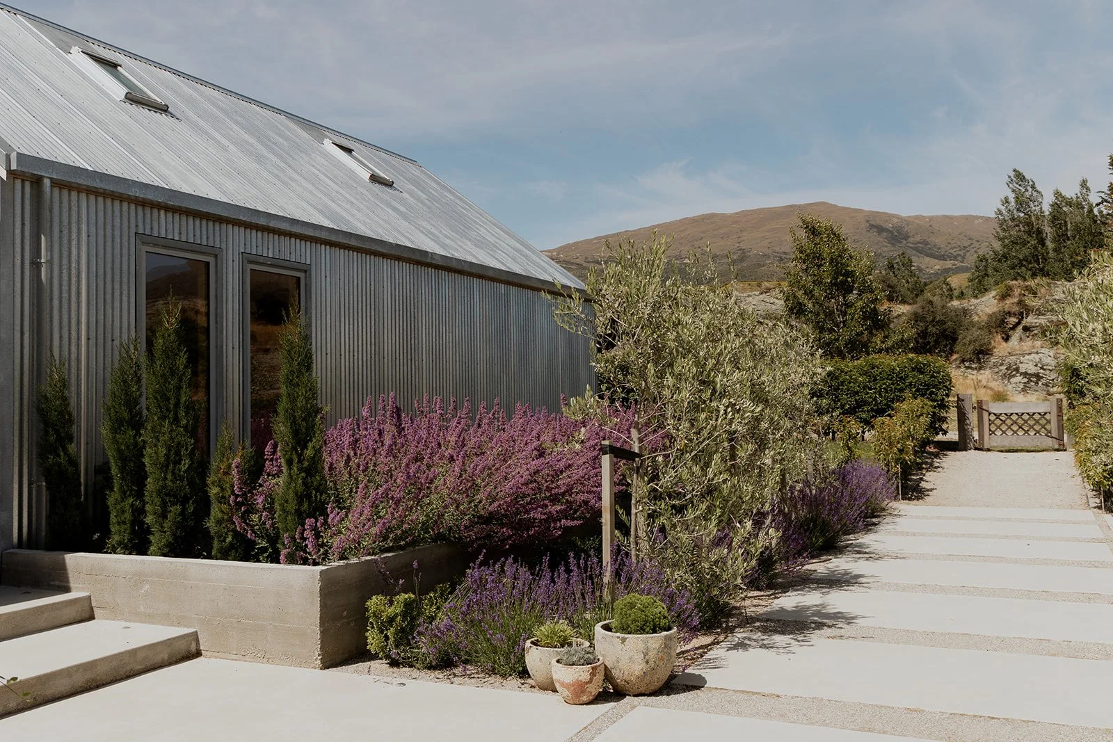 A corrogated iron exterior of a home with stand out planting at a Gibbston Valley home built by Diemarco Builders Queenstown.