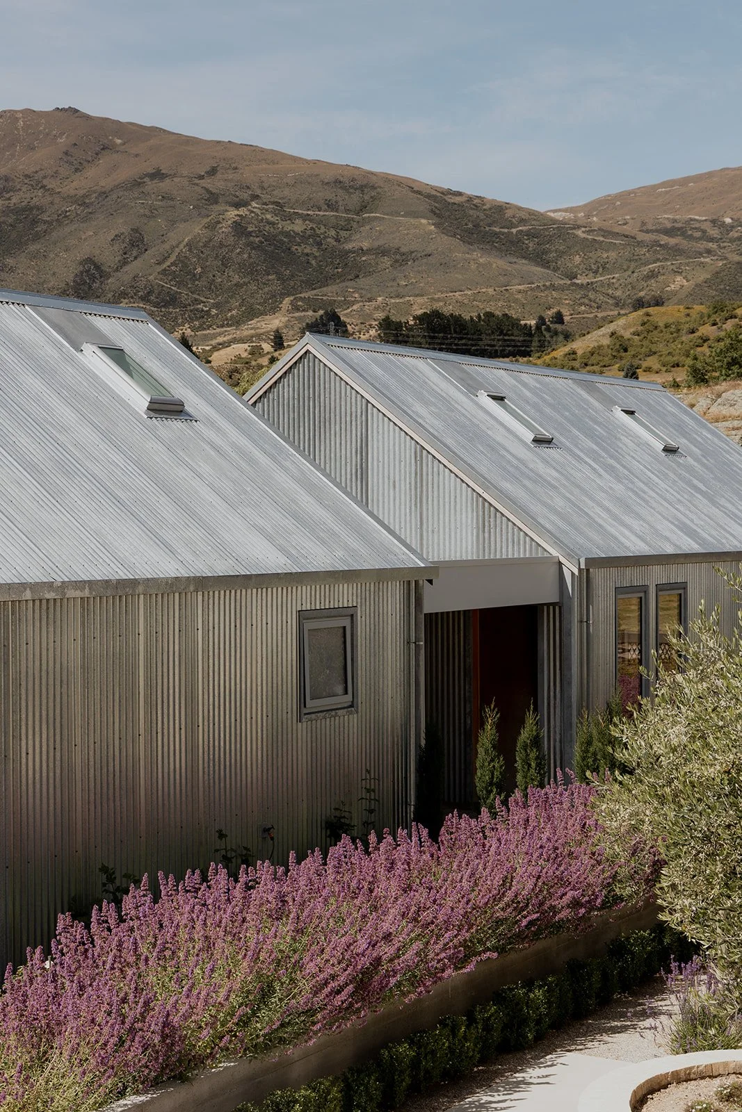 A corrogated iron exterior of a home with stand out planting at a Gibbston Valley home built by Diemarco Builders Queenstown.