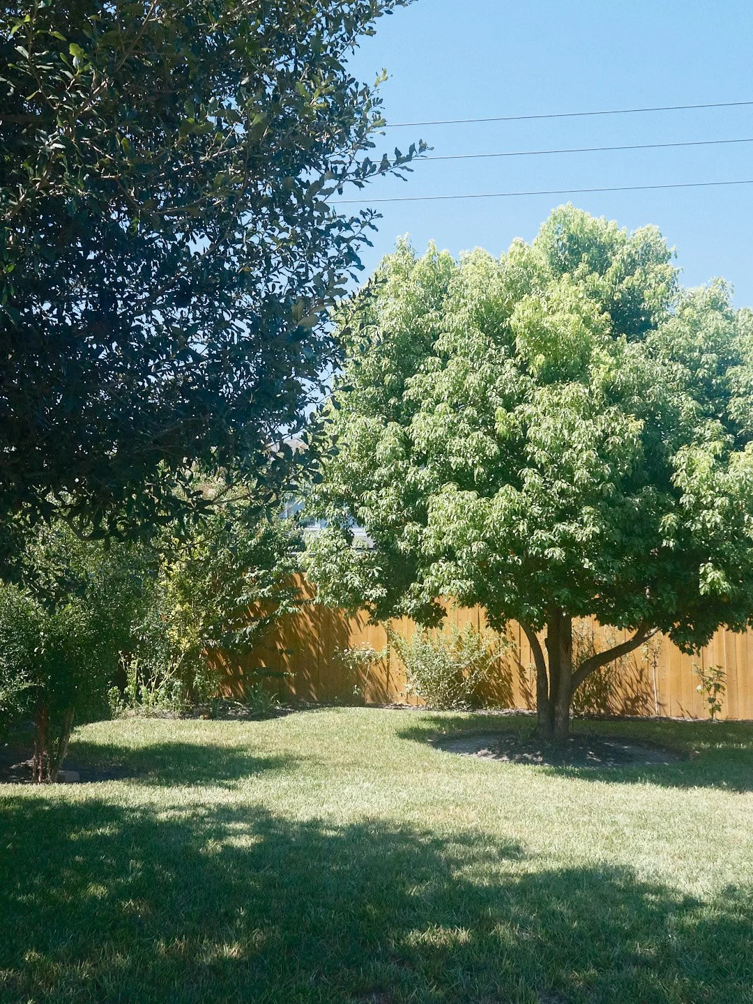 DSCF6003.jpg