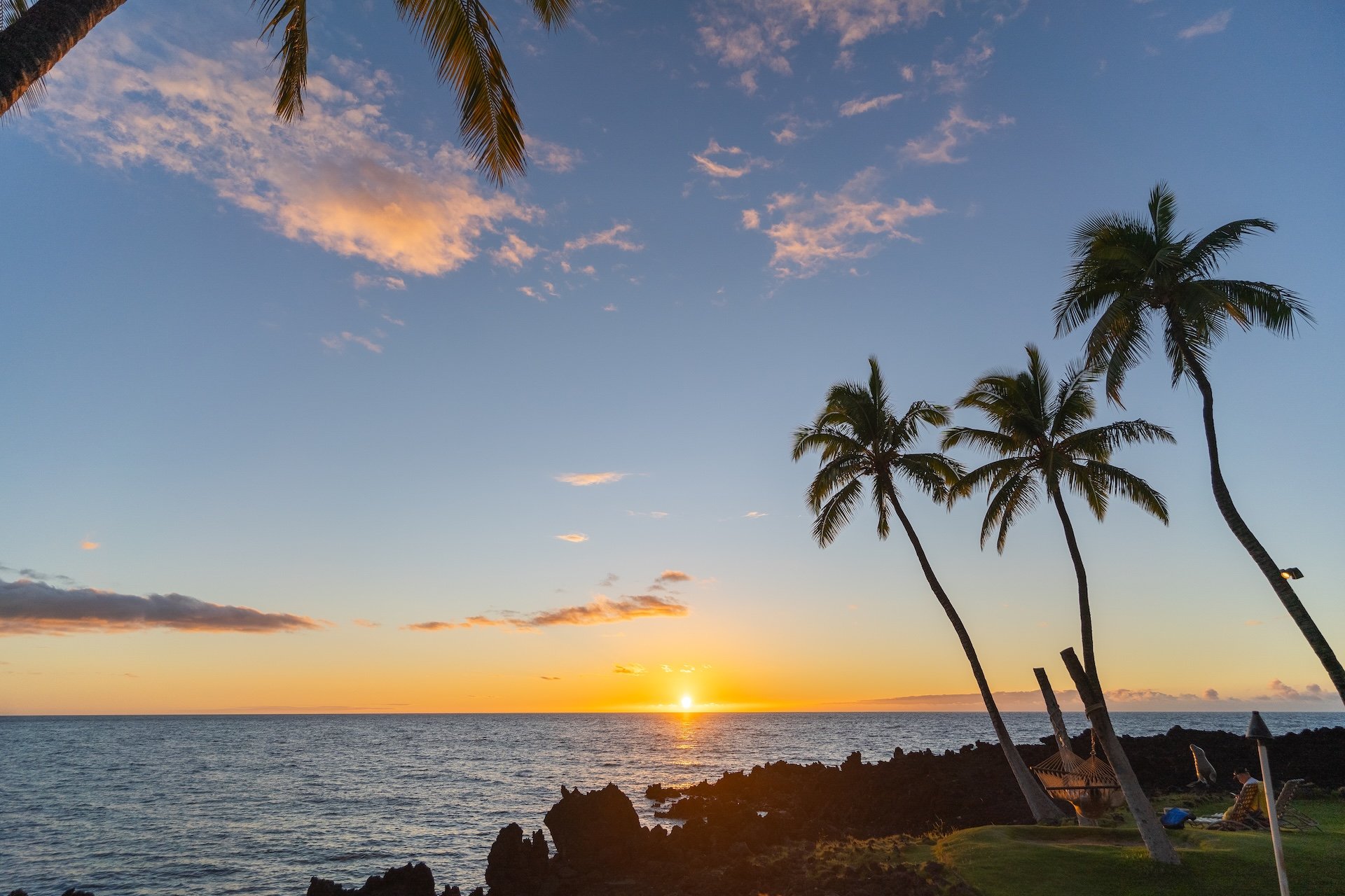 Sunset over the ocean with a few palm trees in the foreground and some lounge chairs on the grassy area.