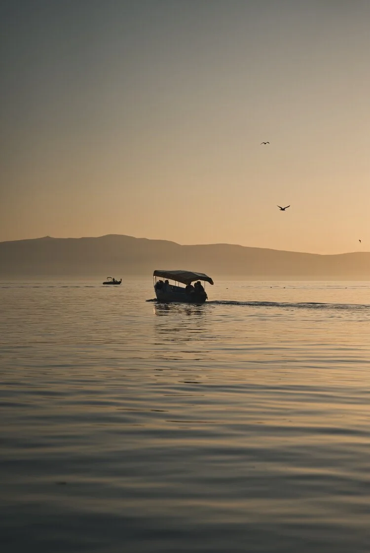 Boat on calm water at sunset with birds flying overhead and distant mountains on the horizon.