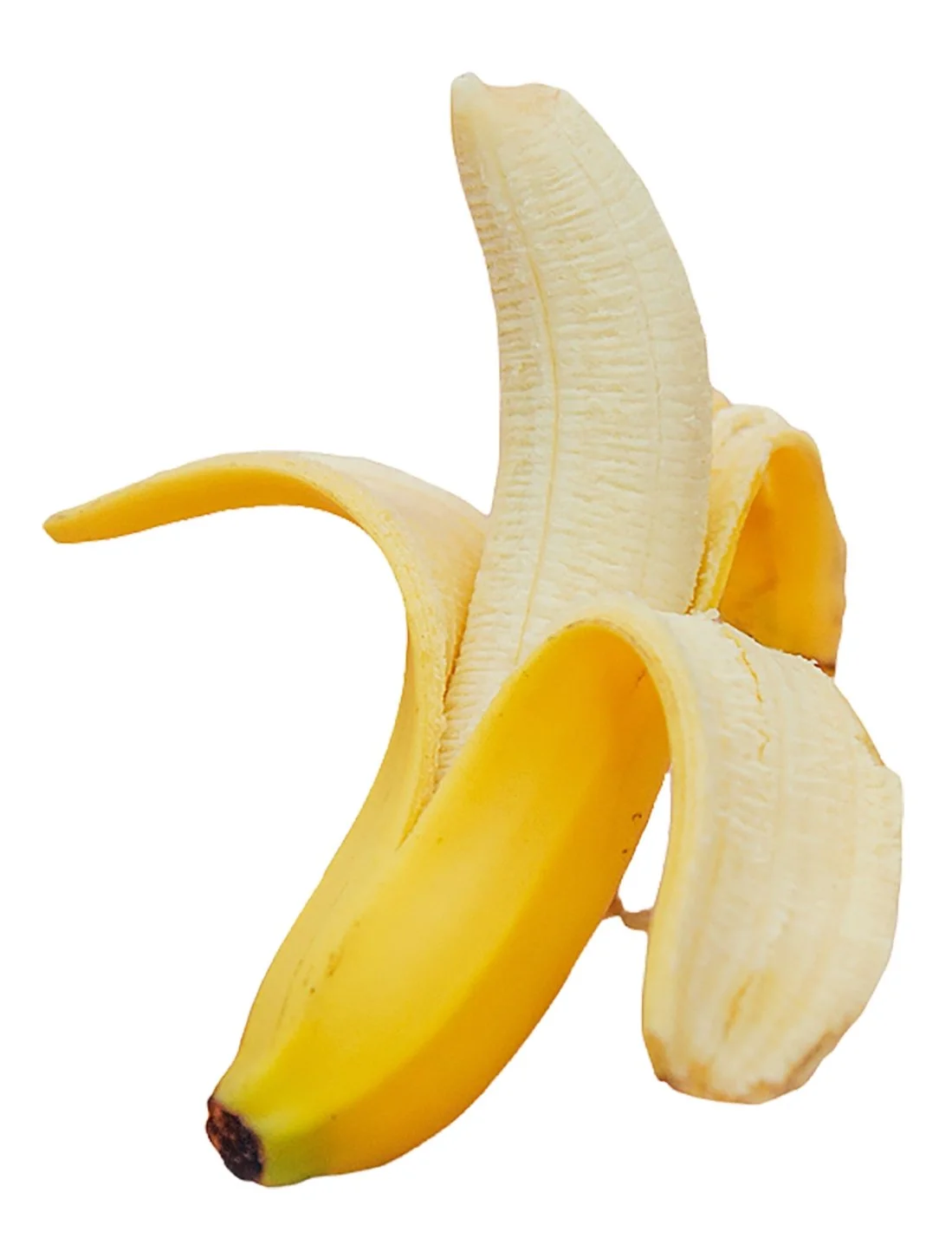 FRESH BANANA - CALORIES:107 / P:1.3g F:0.4g C:24.5g