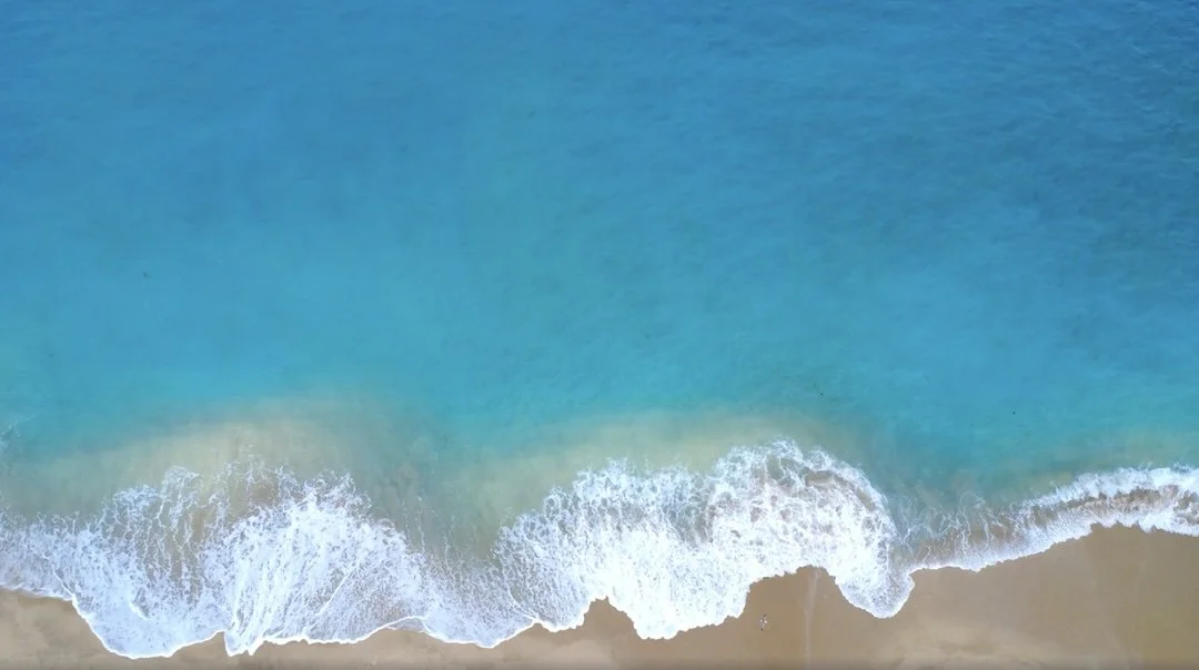 Amelia Island beach drone view-1.jpg