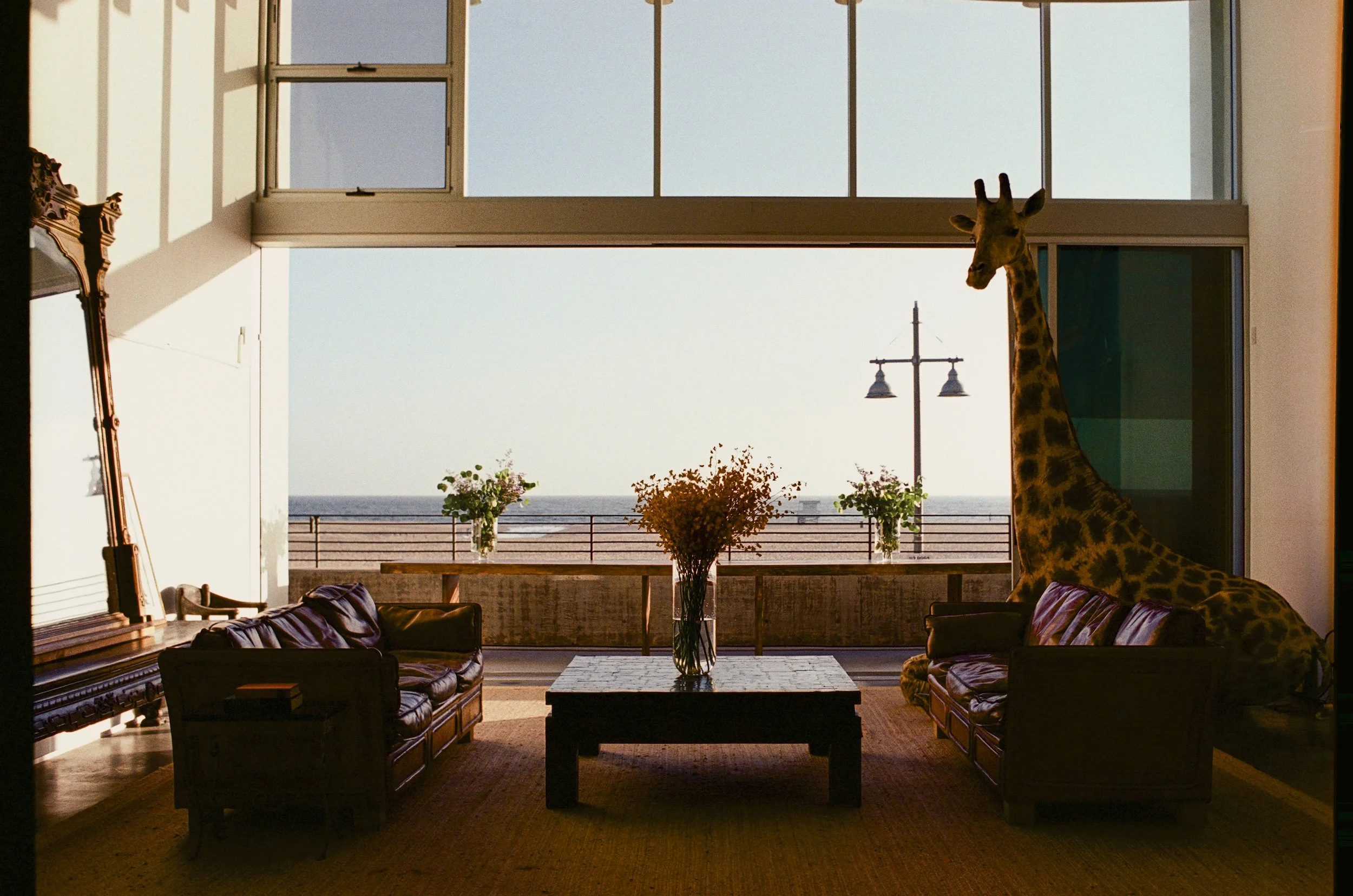 loft-2-lounge-ocean-view-venice-beach.jpg