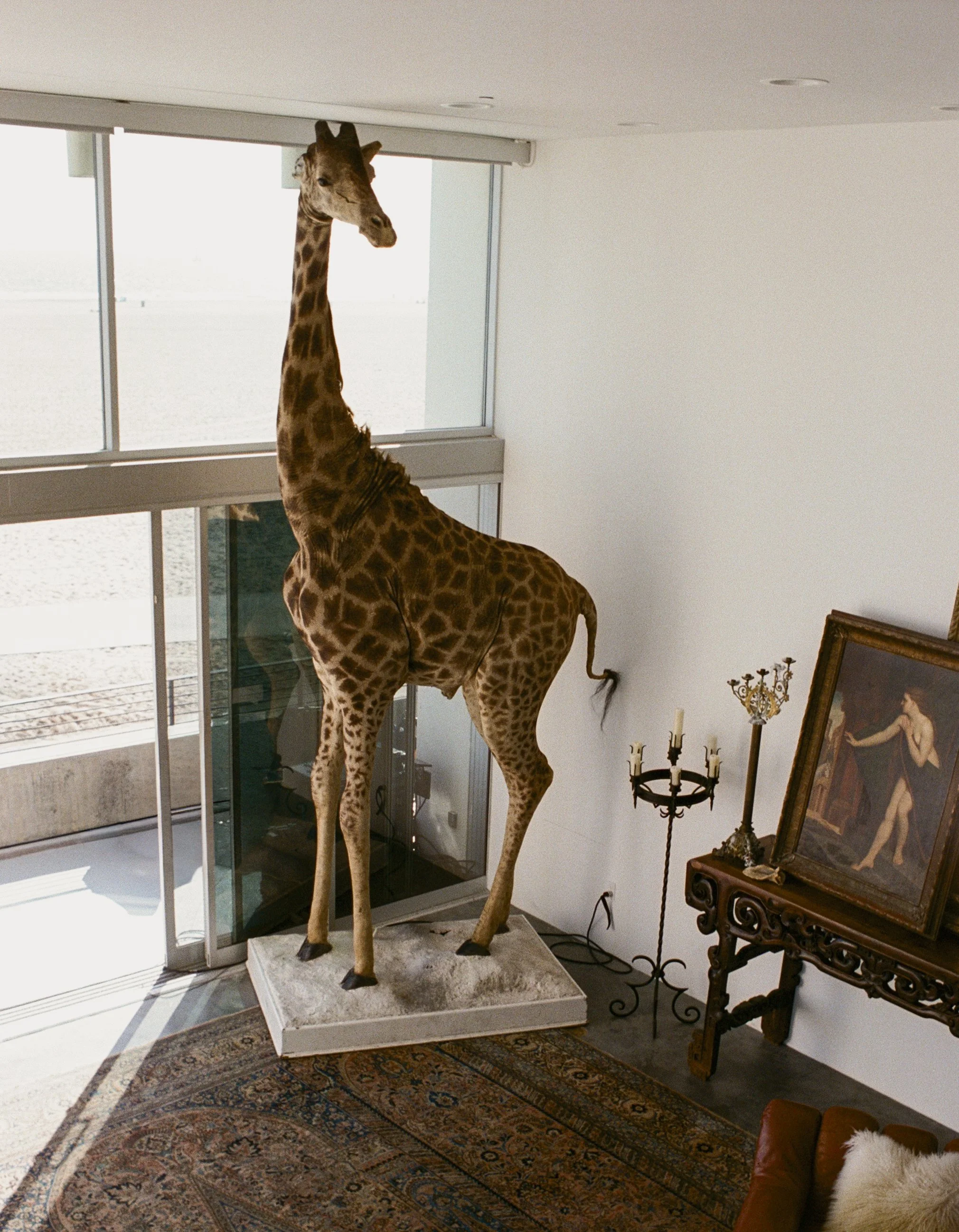 loft-3-giraffe-decor-venice-beach.jpg