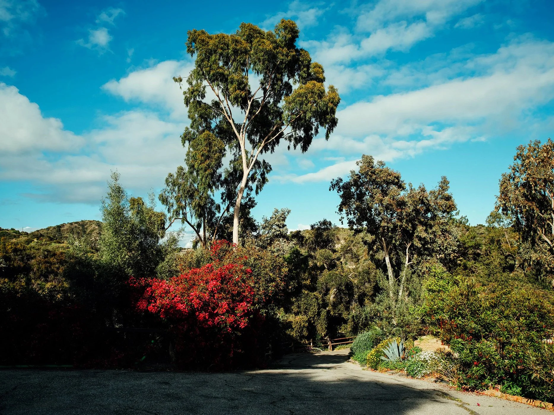 3 bed, 1 bath, 
Hot tub
Sq Ft: [TBD]