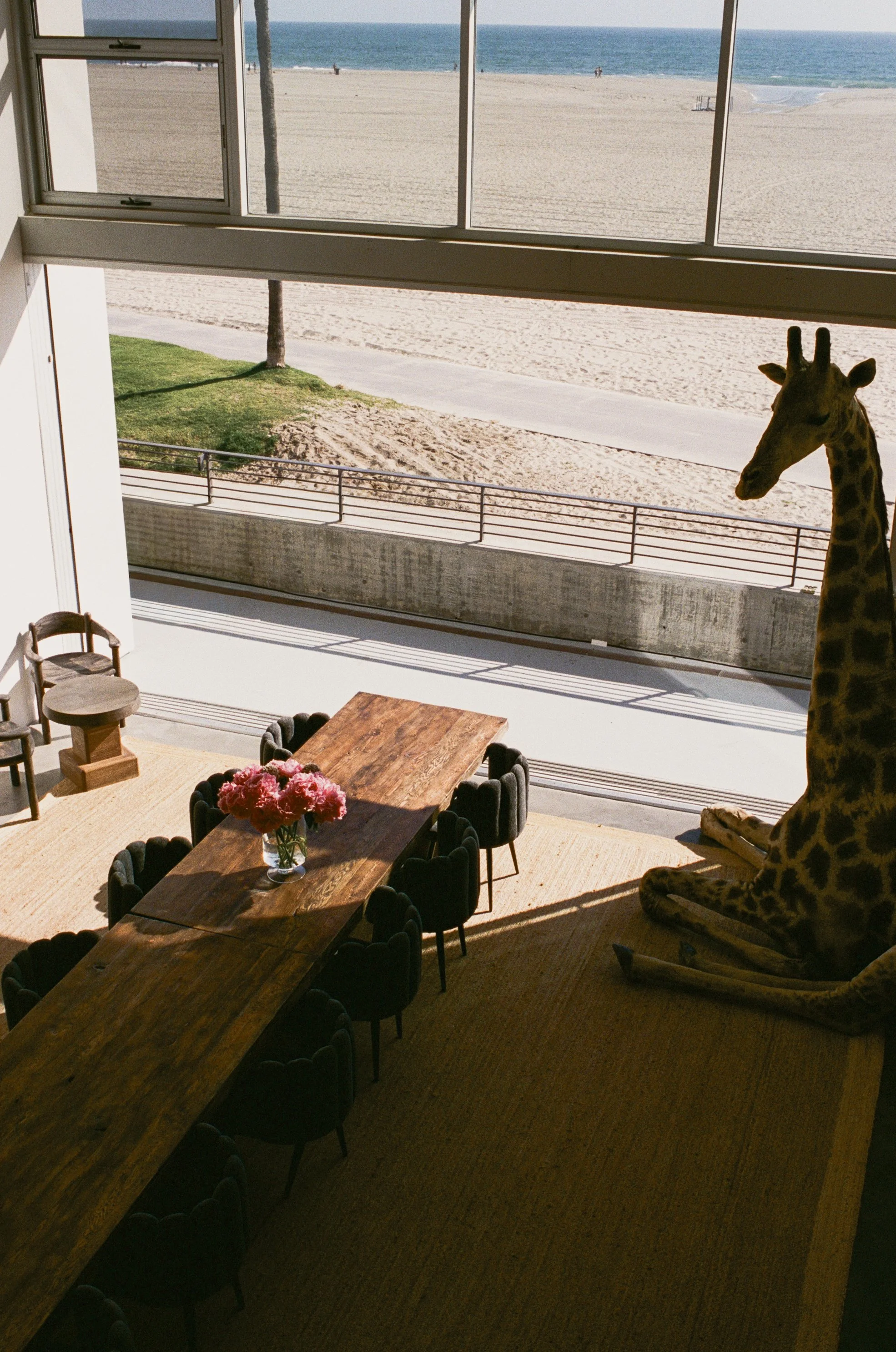 lofts-venice-beach-loft-1-oceanfront-beachfront-window-view.jpg