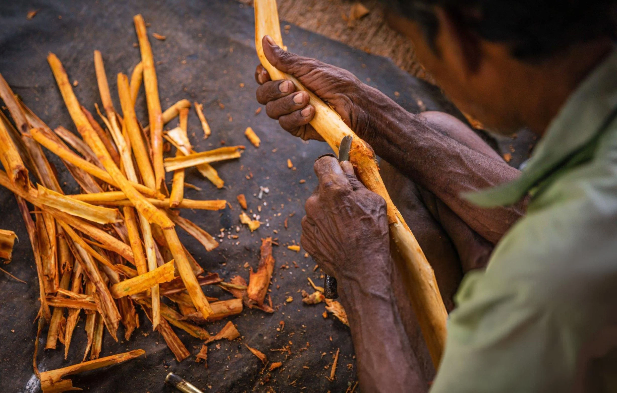 Story of Ceylon Cinnamon