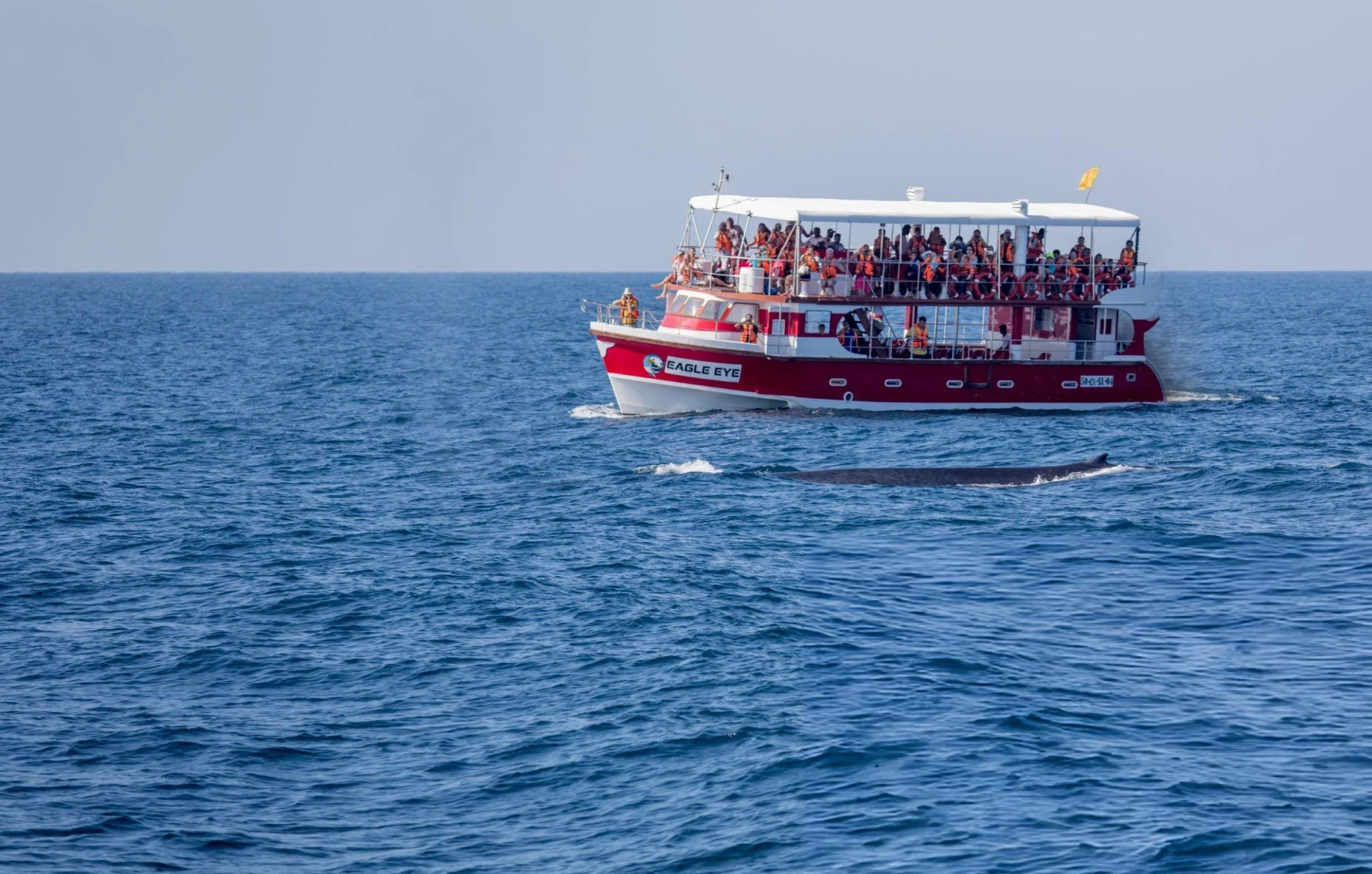 Where the ocean meets awe