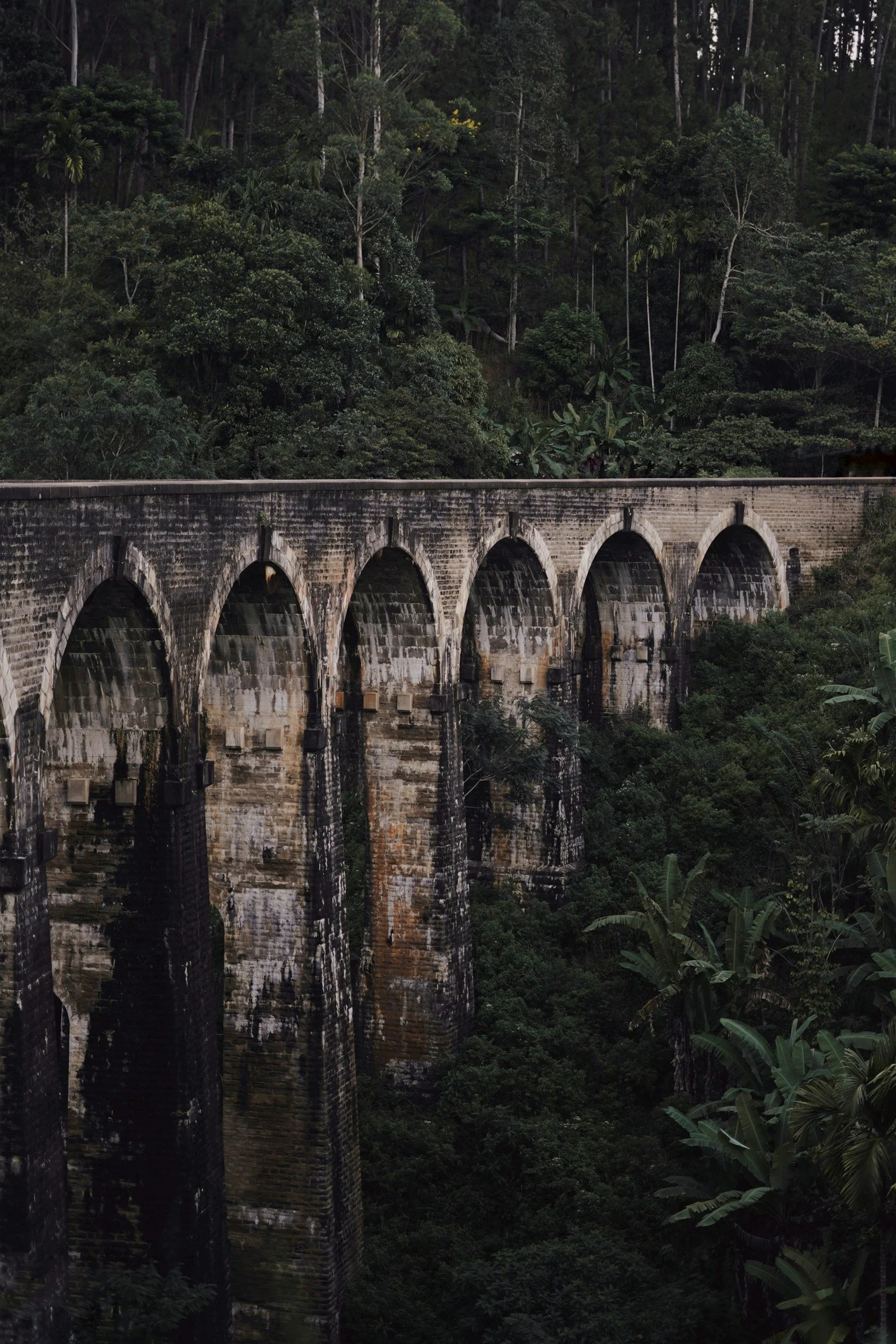 A historic stone arch bridge crossing a lush, green forested area with dense trees.