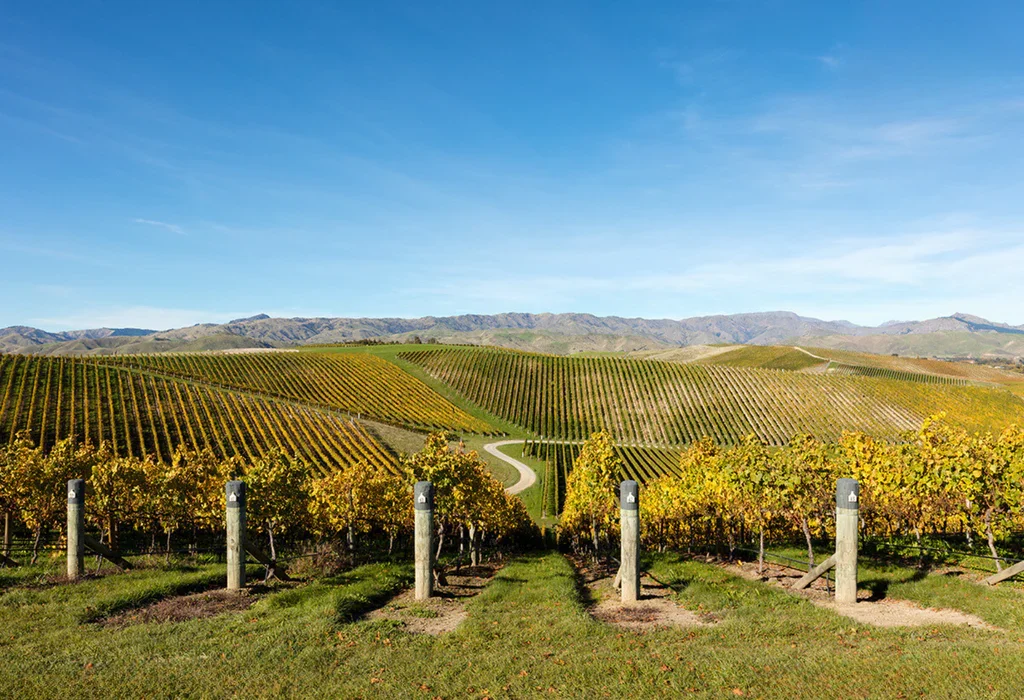 The Curated Journey — Private Bespoke Experience