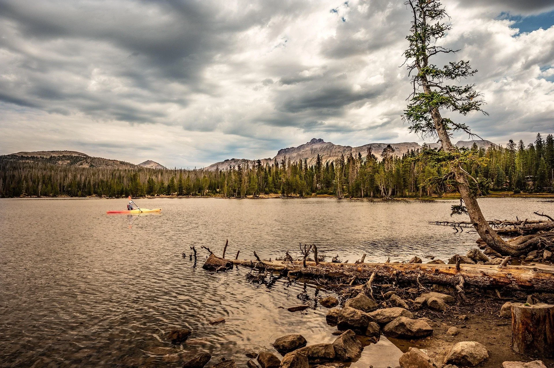 A person kayaking on a calm lake with dense pine trees and mountainous terrain in the background under a cloudy sky.