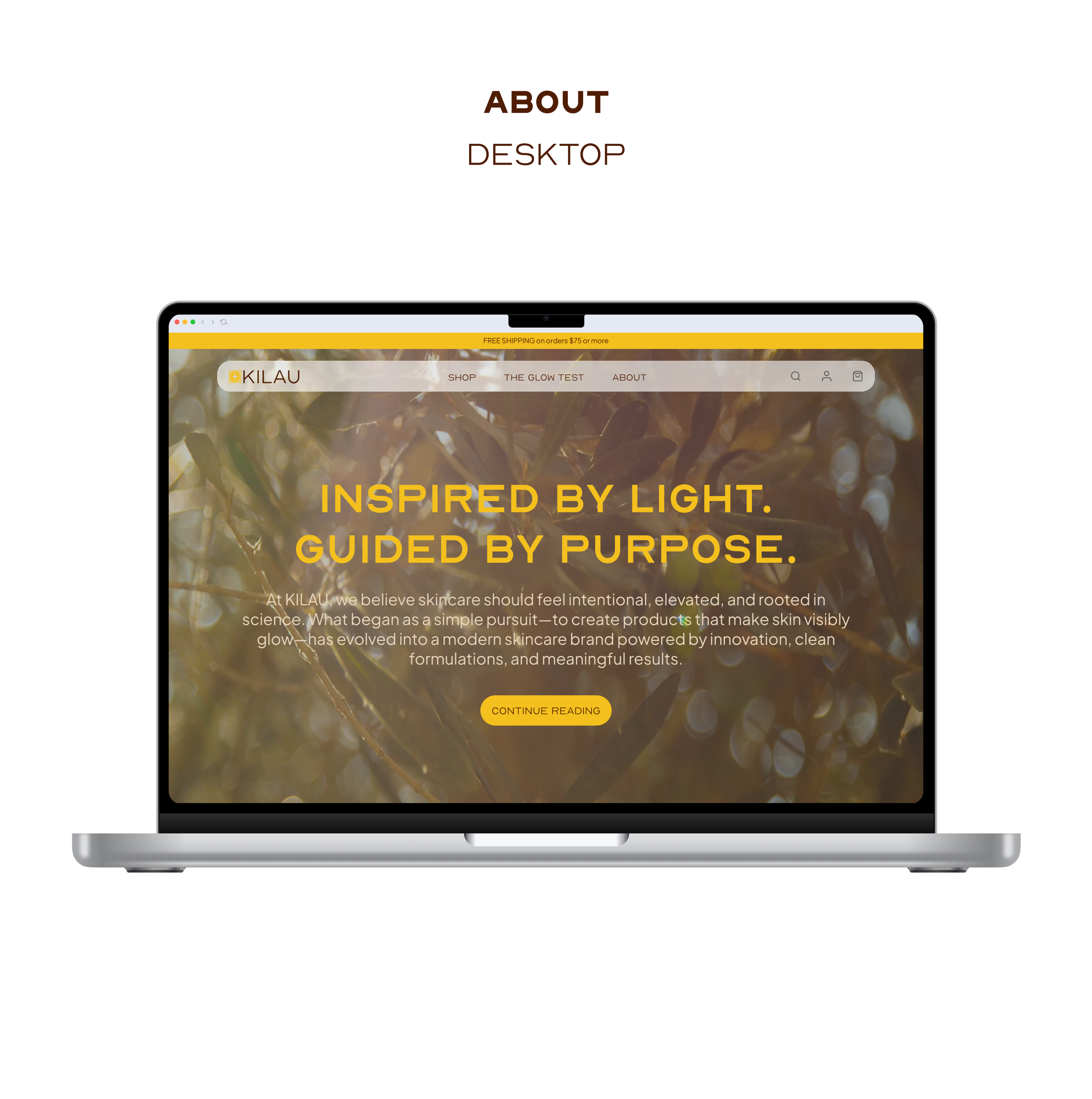 About Desktop Mockup.png