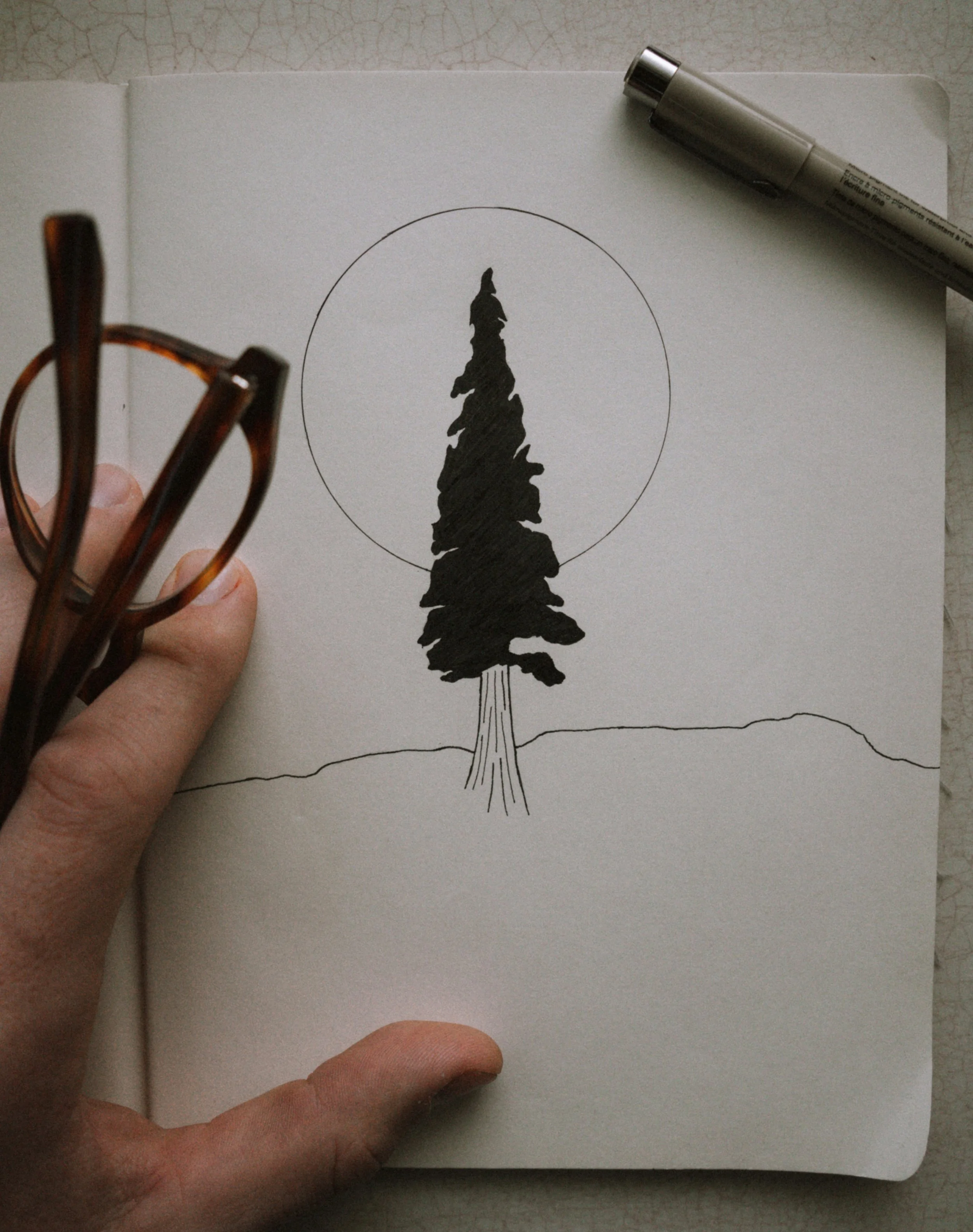 A hand holding brown glasses over a sketch of a tree on a notebook page, with a gray marker placed on the corner of the notebook.