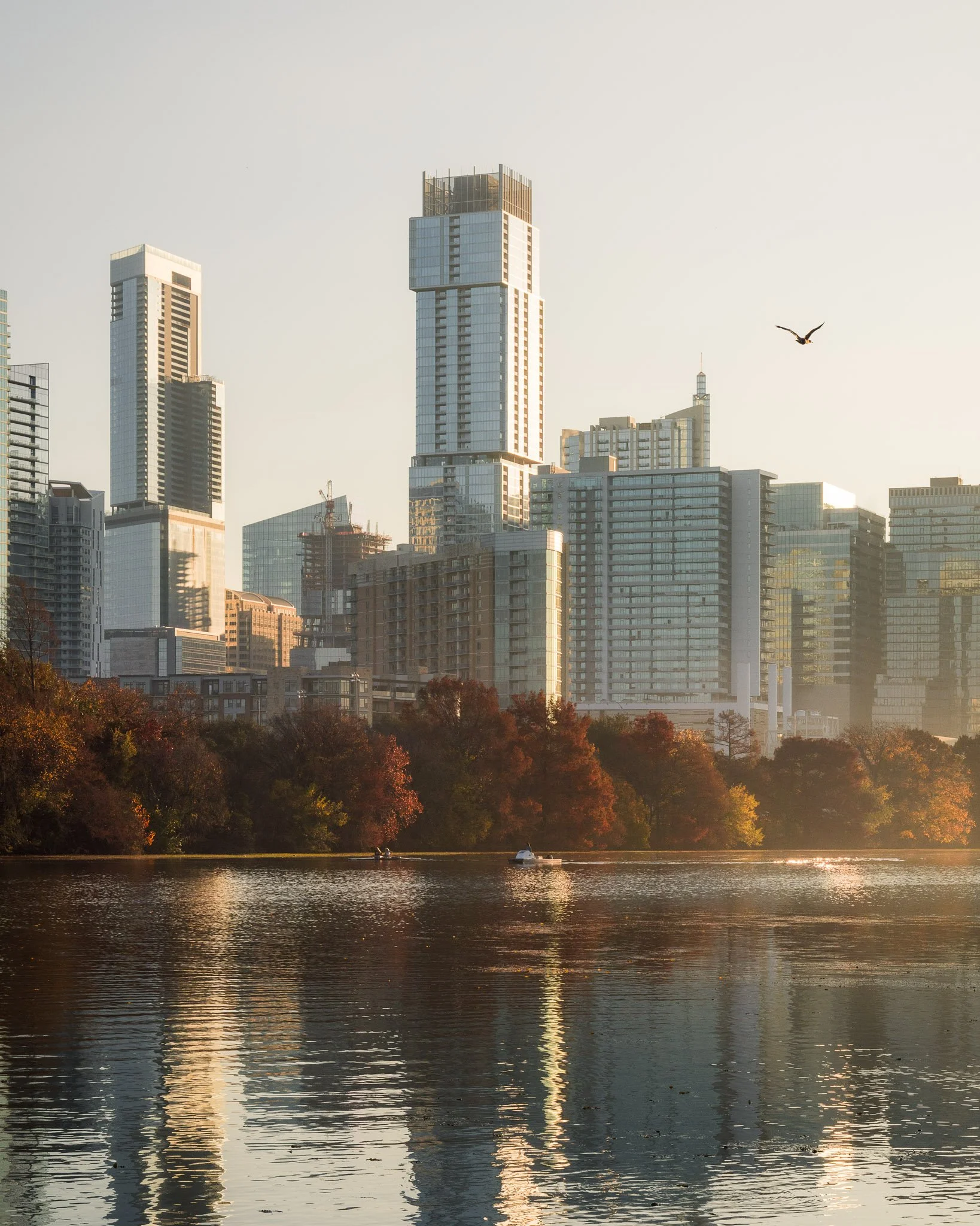 City skyline with tall modern buildings near a river, with boats and trees with colorful fall foliage in the foreground, and a bird flying in the sky.