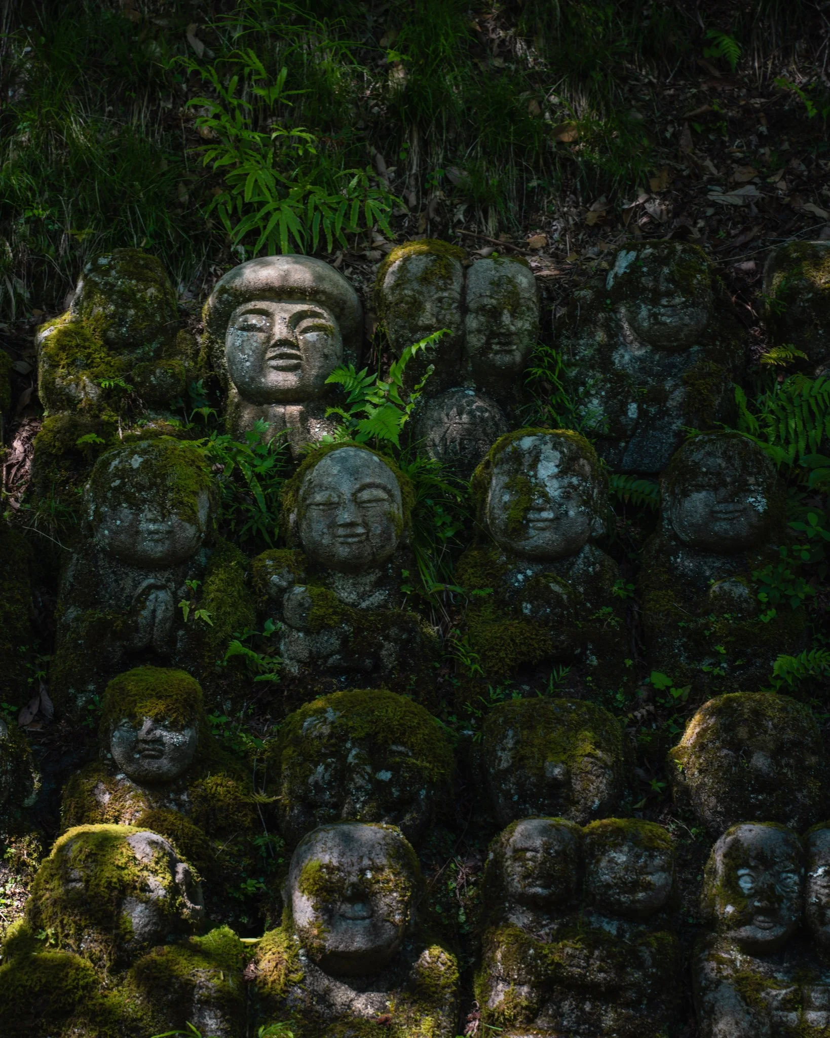 Ancient stone carvings resembling human faces, covered in moss, nestled among green plants and ferns in a forest setting.