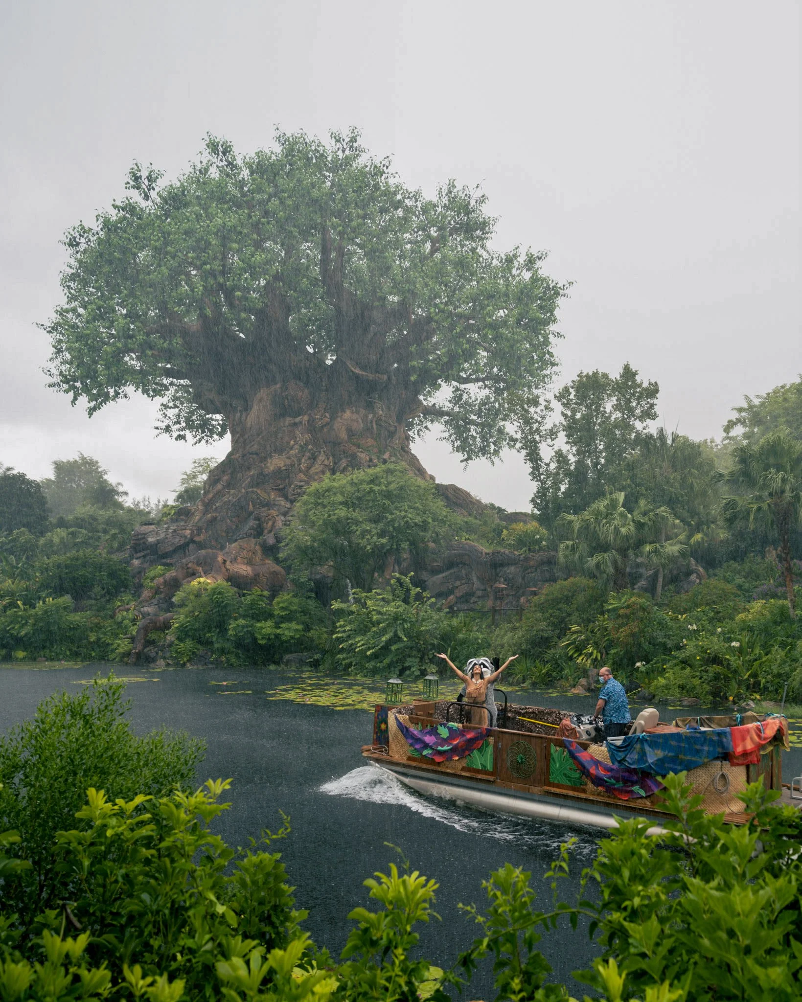 A large tree with a thick trunk and green foliage rises from a rocky hill beside a body of water. In the foreground, a boat decorated with colorful fabric and patterns is being paddled by two people, one of whom is smiling and raising their arms.