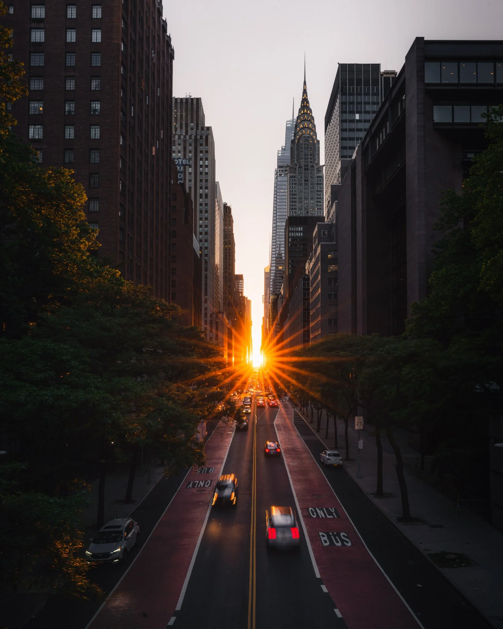 View of a city street at sunset with the spire of the Chrysler Building in the distance, cars driving on the street, and trees lining the sides.