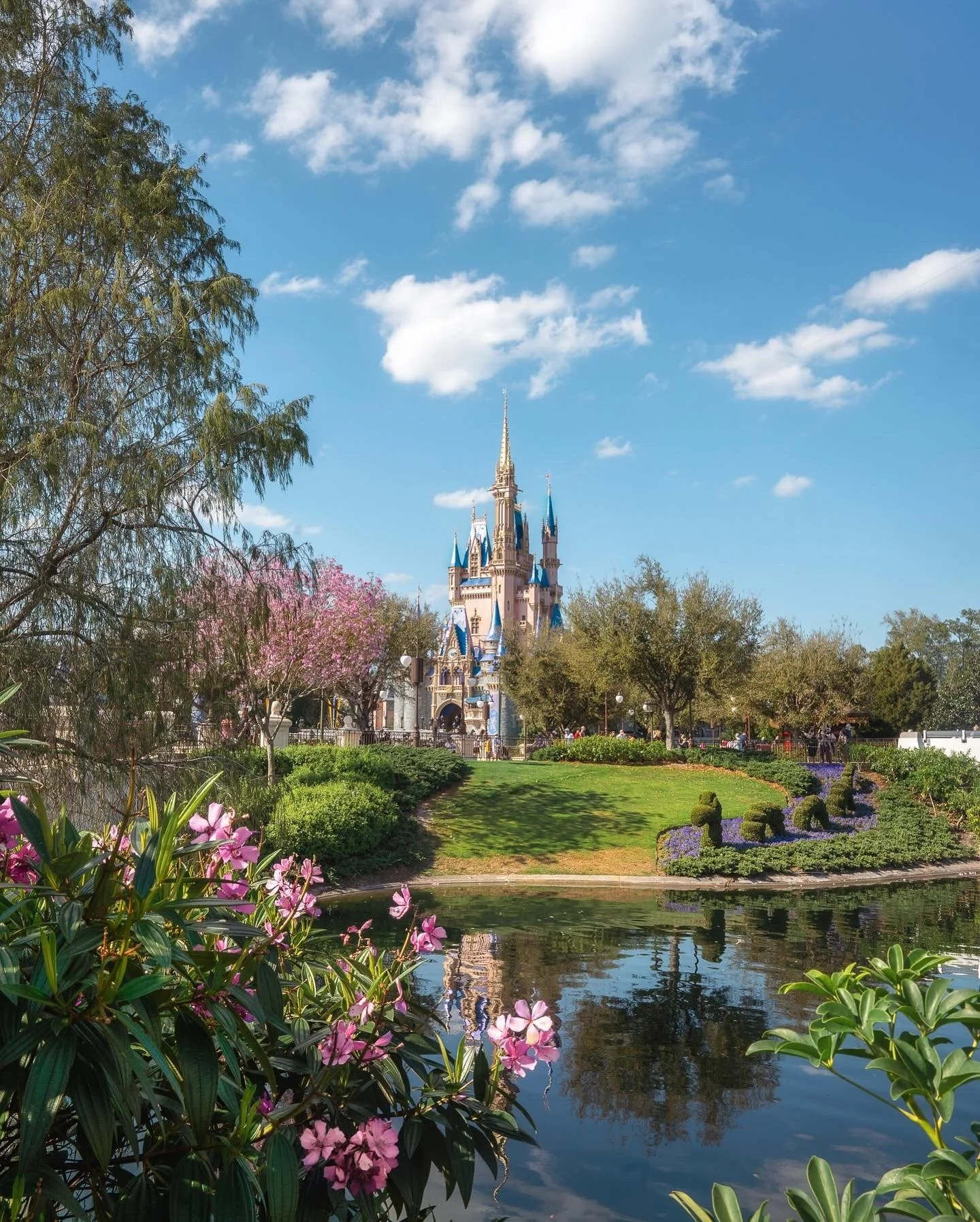 Disney castle in the distance with a pond, flowering bushes, and trees in a park garden under a bright blue sky with scattered clouds.