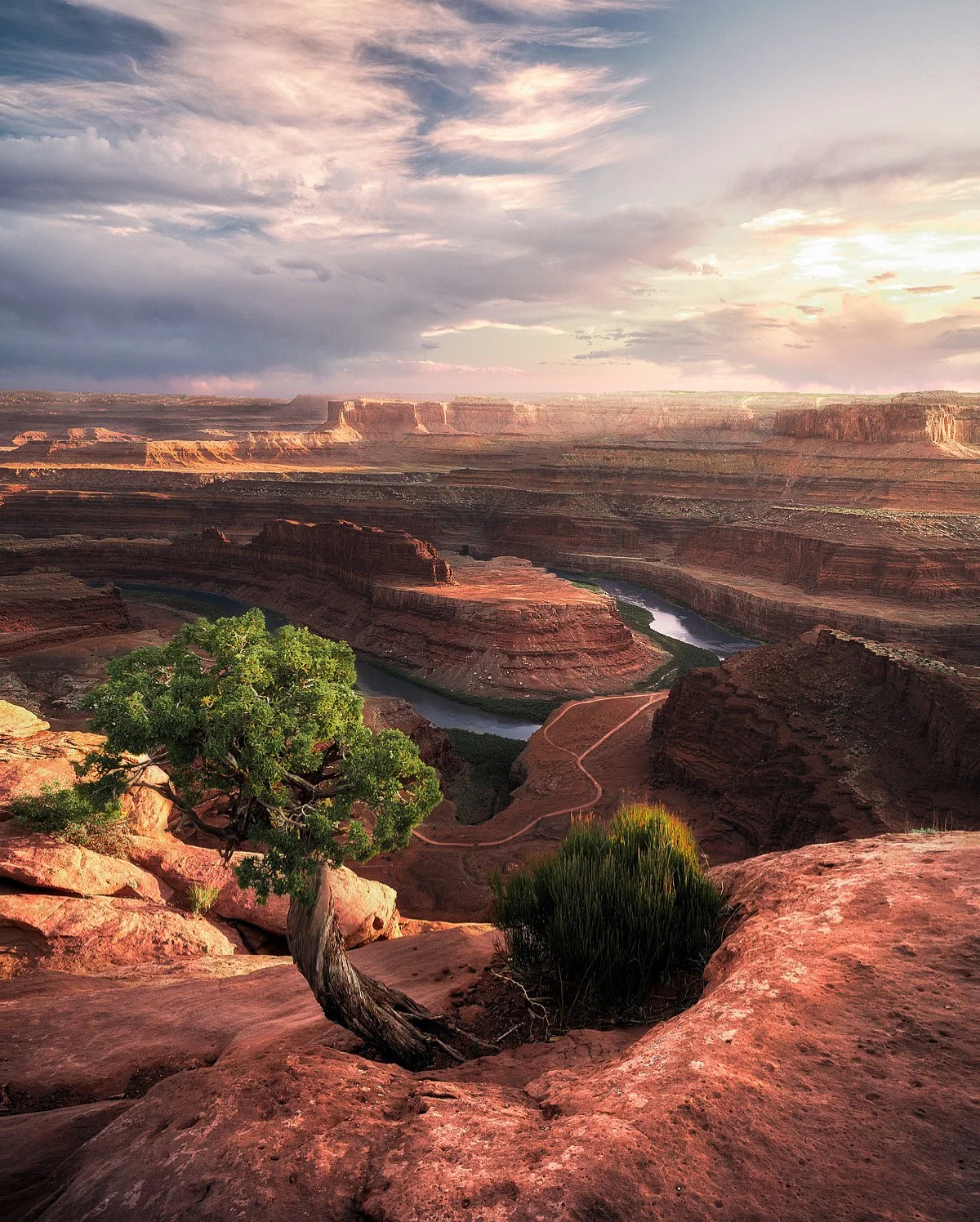A wide view of the Grand Canyon at sunset with layered red rock formations, a winding river, a small trail, and a green tree in the foreground.