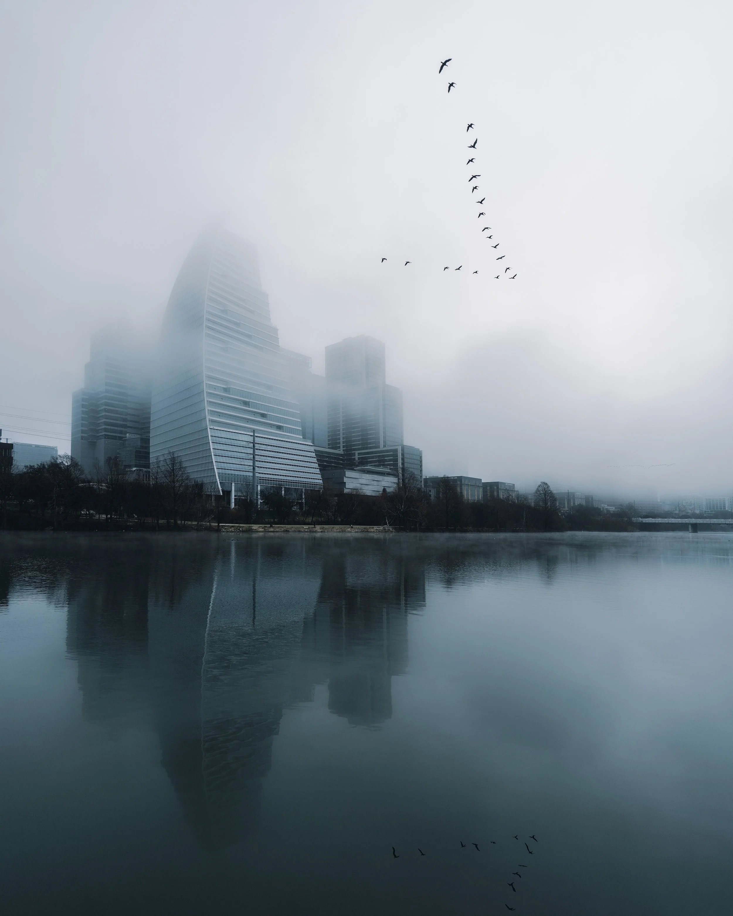 A foggy cityscape with modern skyscrapers reflected in a calm body of water, a flock of birds flying overhead.