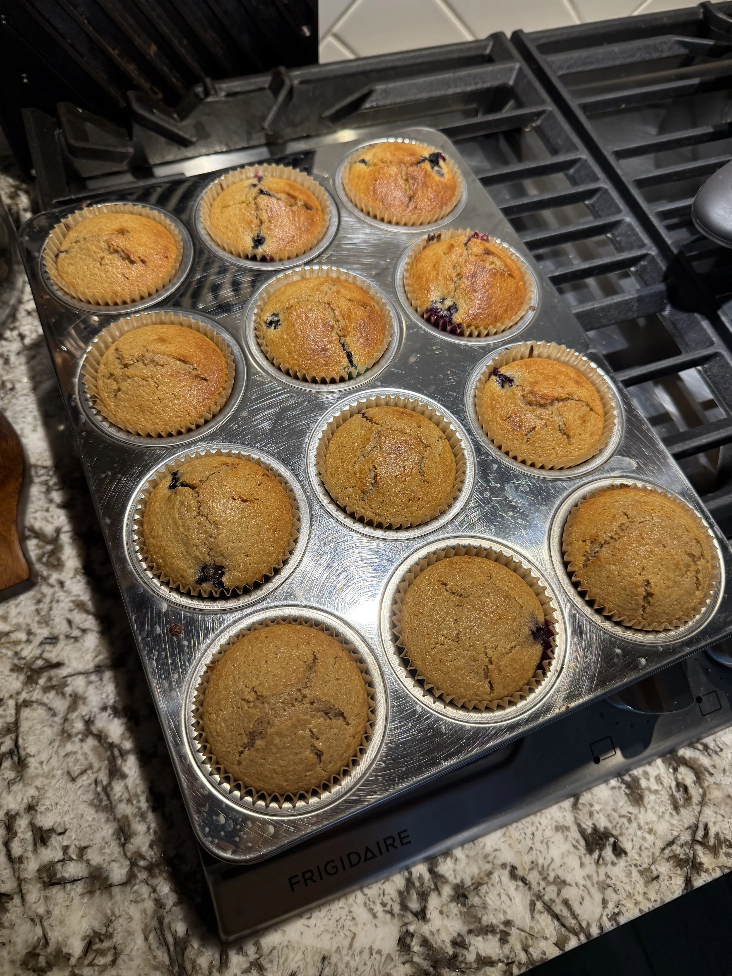 A tray of freshly baked blueberry muffins on a stovetop.