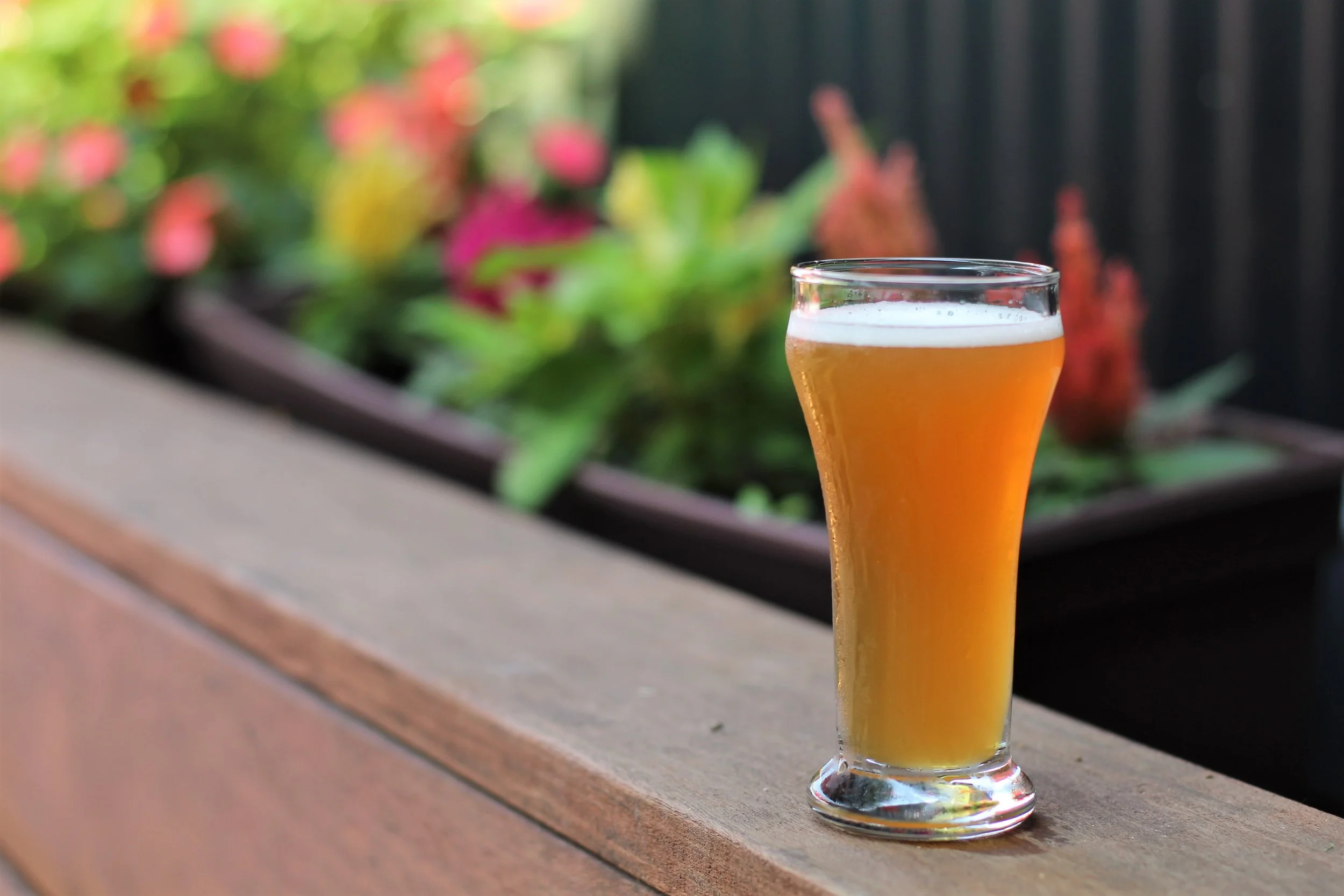 Photo of a golden, hazy beer in a tall glass on a wood railing, with flowers in the background.