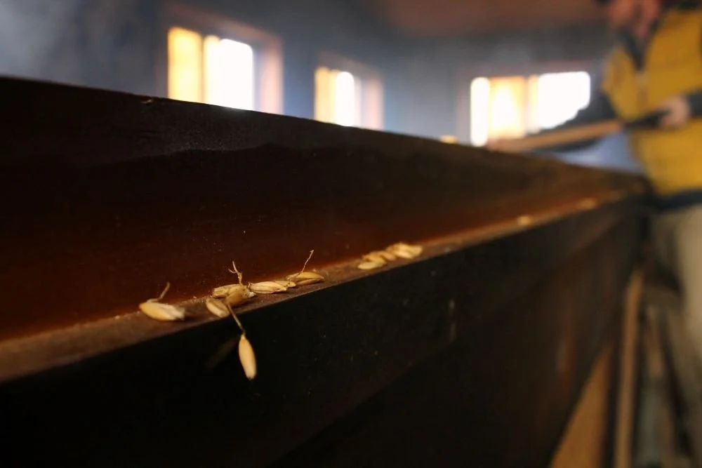 Wood railing of a malt sainnhus, with maltster in background stirring. Grains of malt sit along the edge.