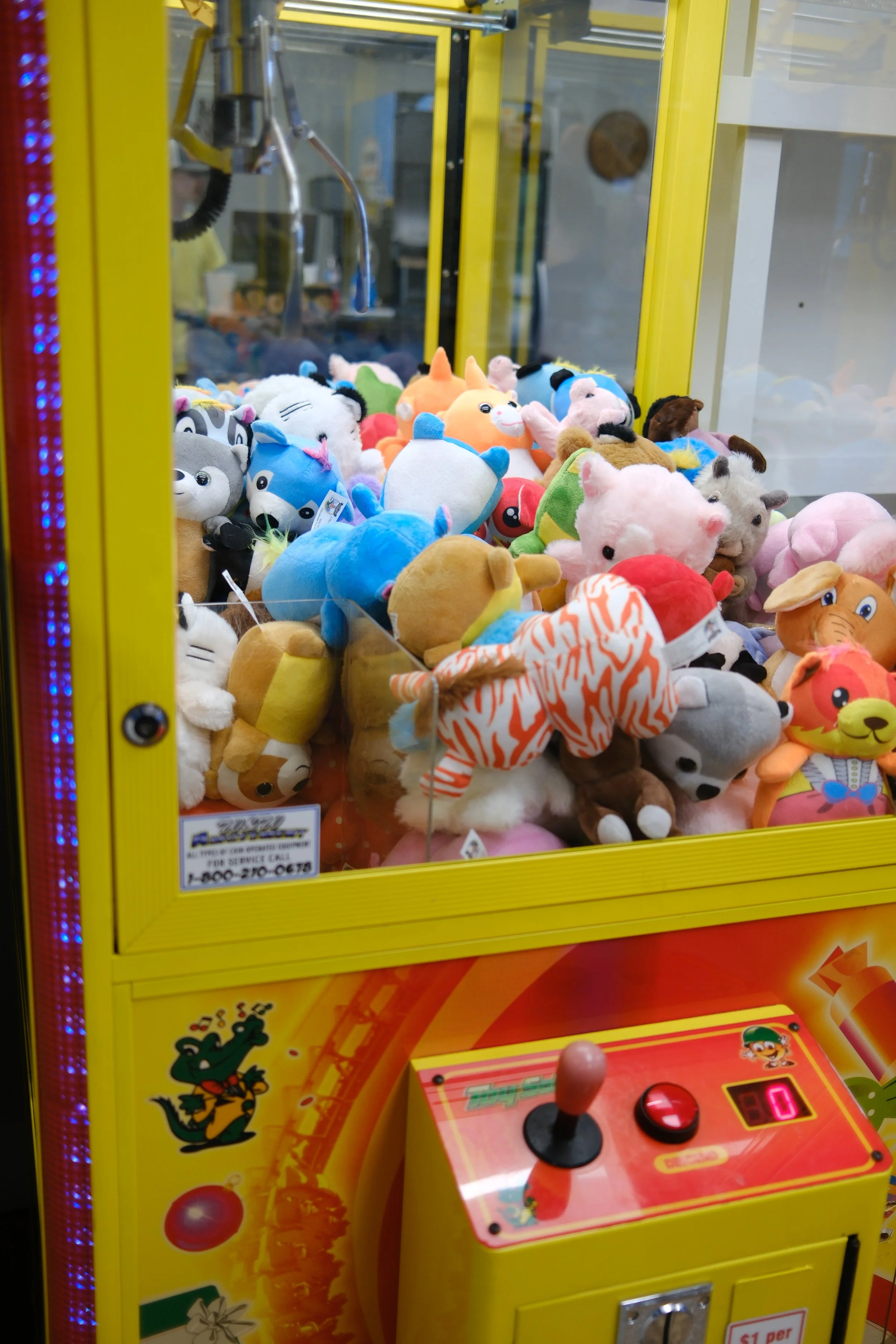 DSCF0780.JPG