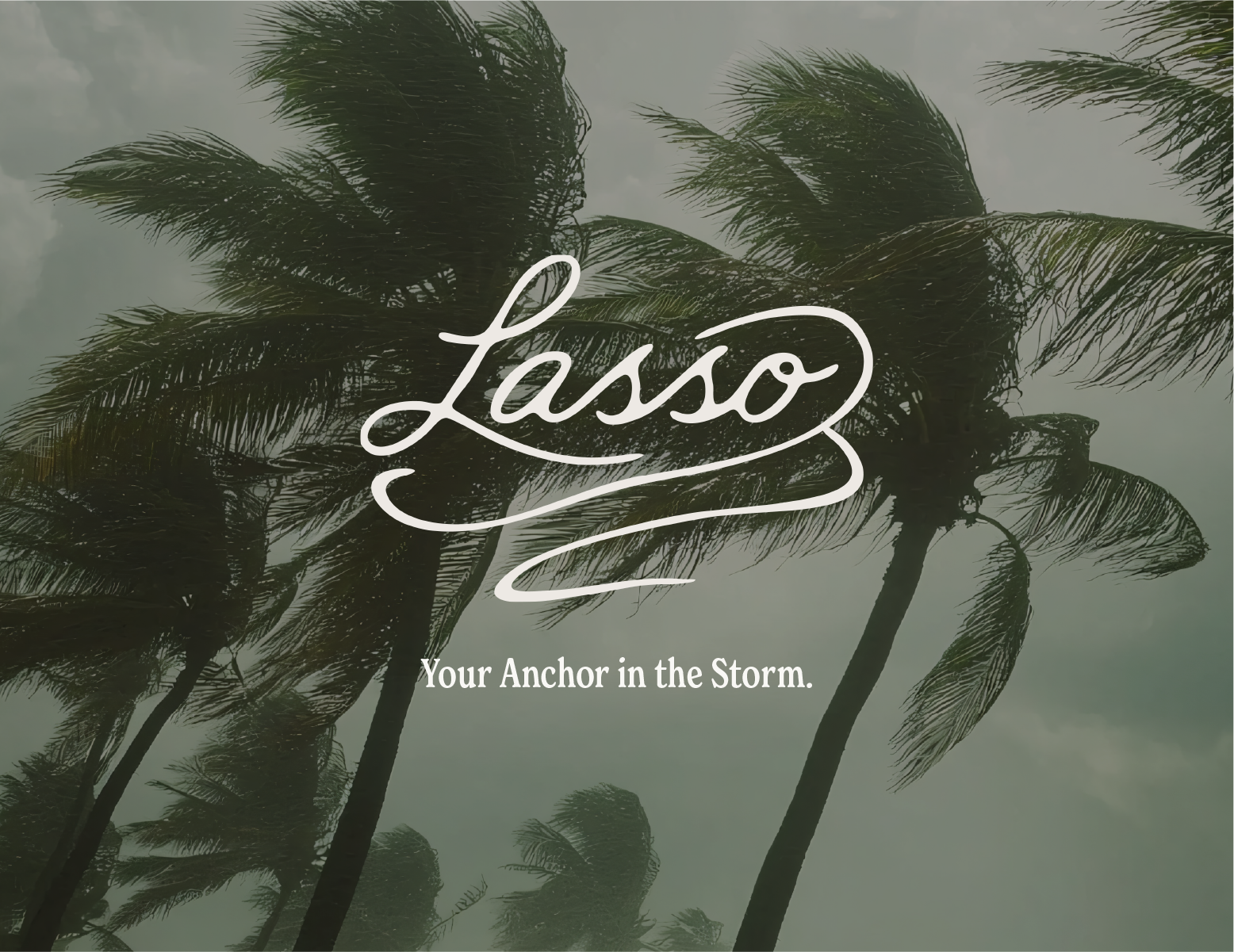 Lasso | Brand Identity & Web Design