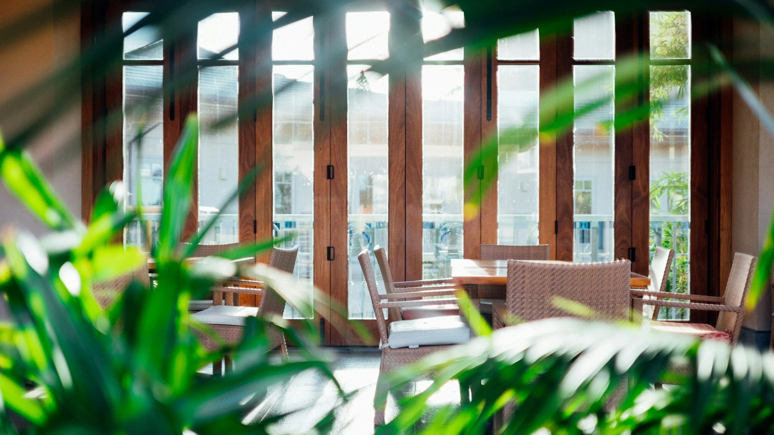 Senior living common room seen through garden greenery, warm afternoon light, empty chairs, quiet and calm.
