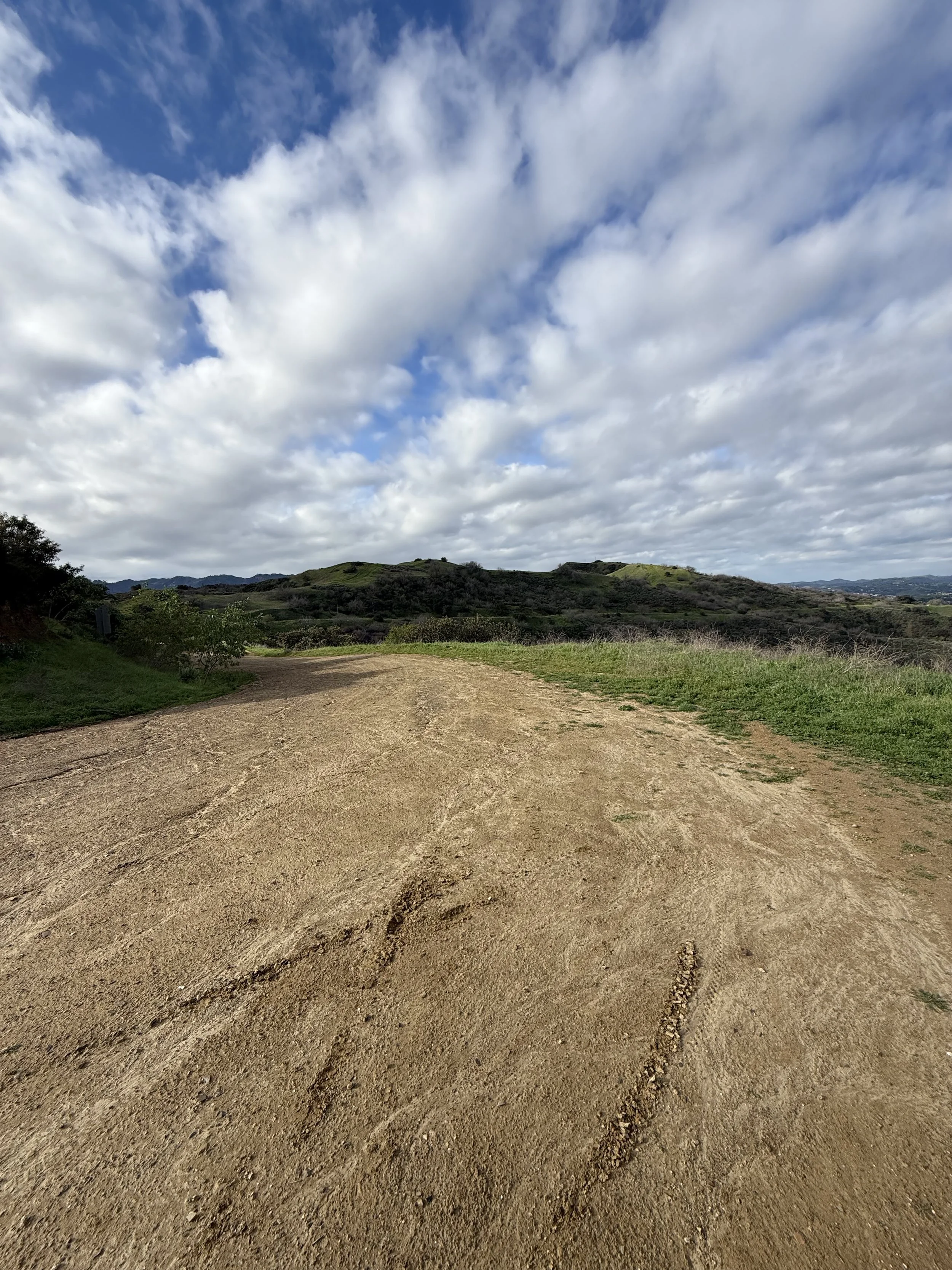 Why Predictability Matters For Aging Nervous Systems