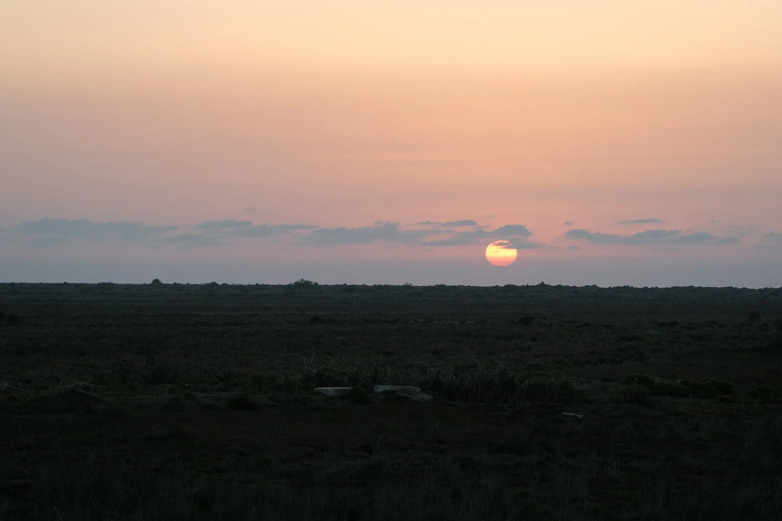An open horizon in soft light, suggesting new possibility.