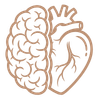 A diagram of a human brain showing both the left and right hemispheres.