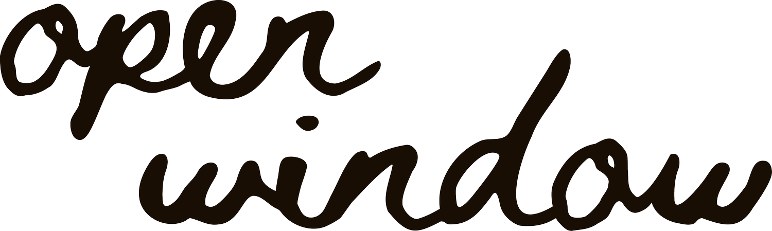 Open Window Organizing