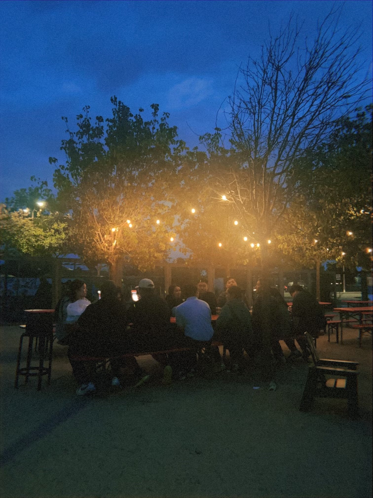 People sitting on benches and chairs at an outdoor gathering during early evening, with string lights hanging from trees and a darkening sky in the background.