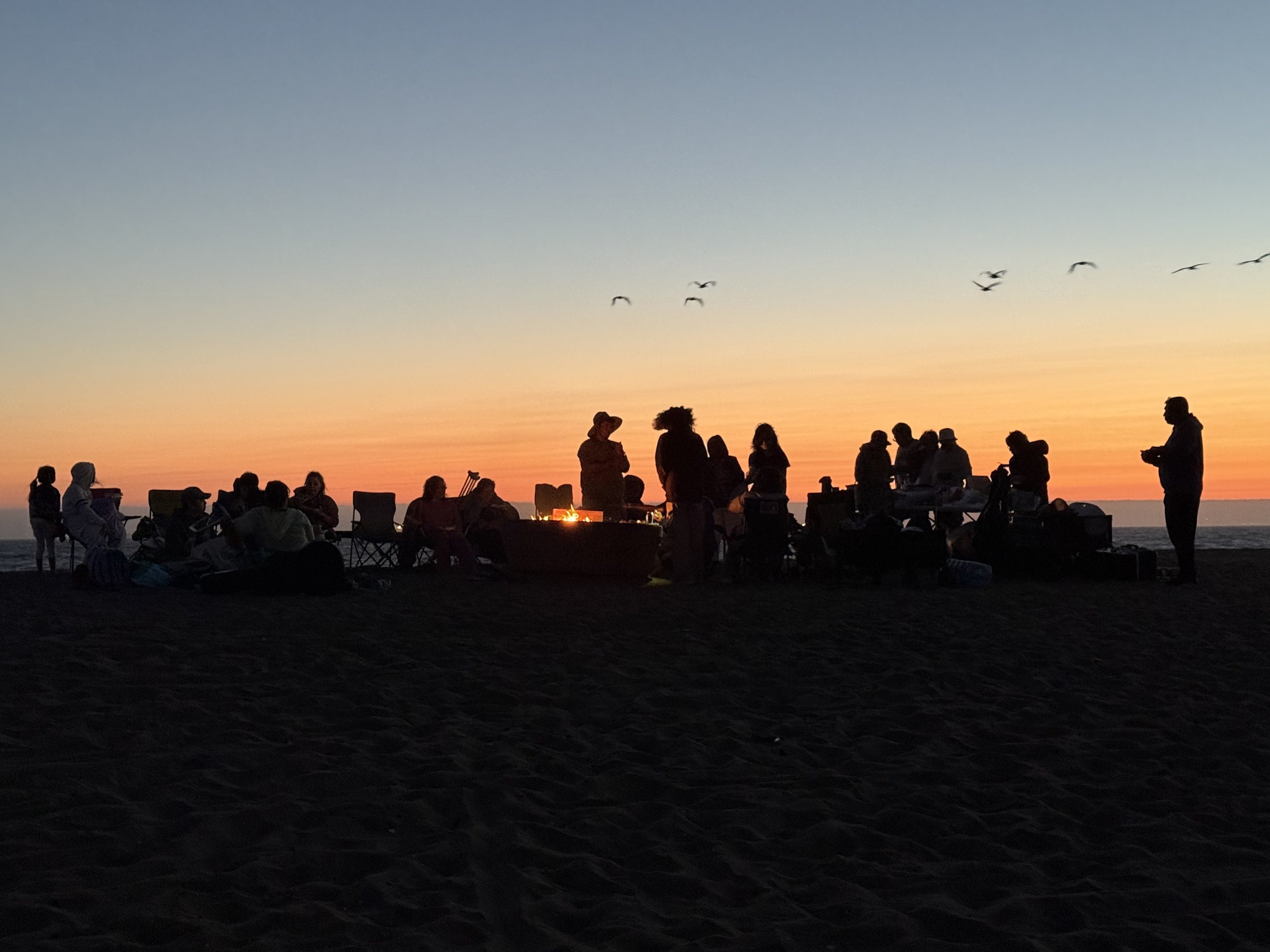 Silhouettes of people gathered on a beach during sunset, some sitting, some standing around a fire, with a flock of birds flying in the background.