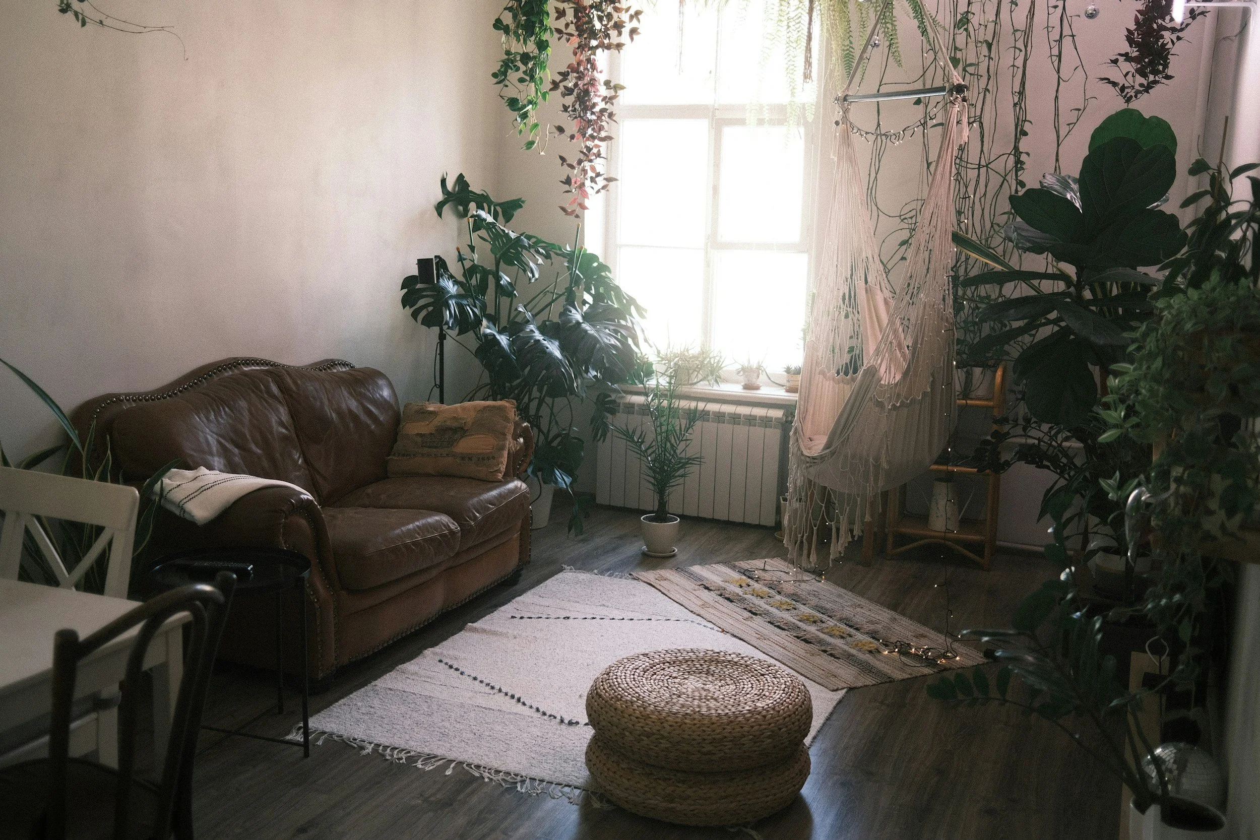 Cozy living room with a leather sofa, a white rug, several potted plants, a window with sunlight, hanging chair, and woven ottoman.