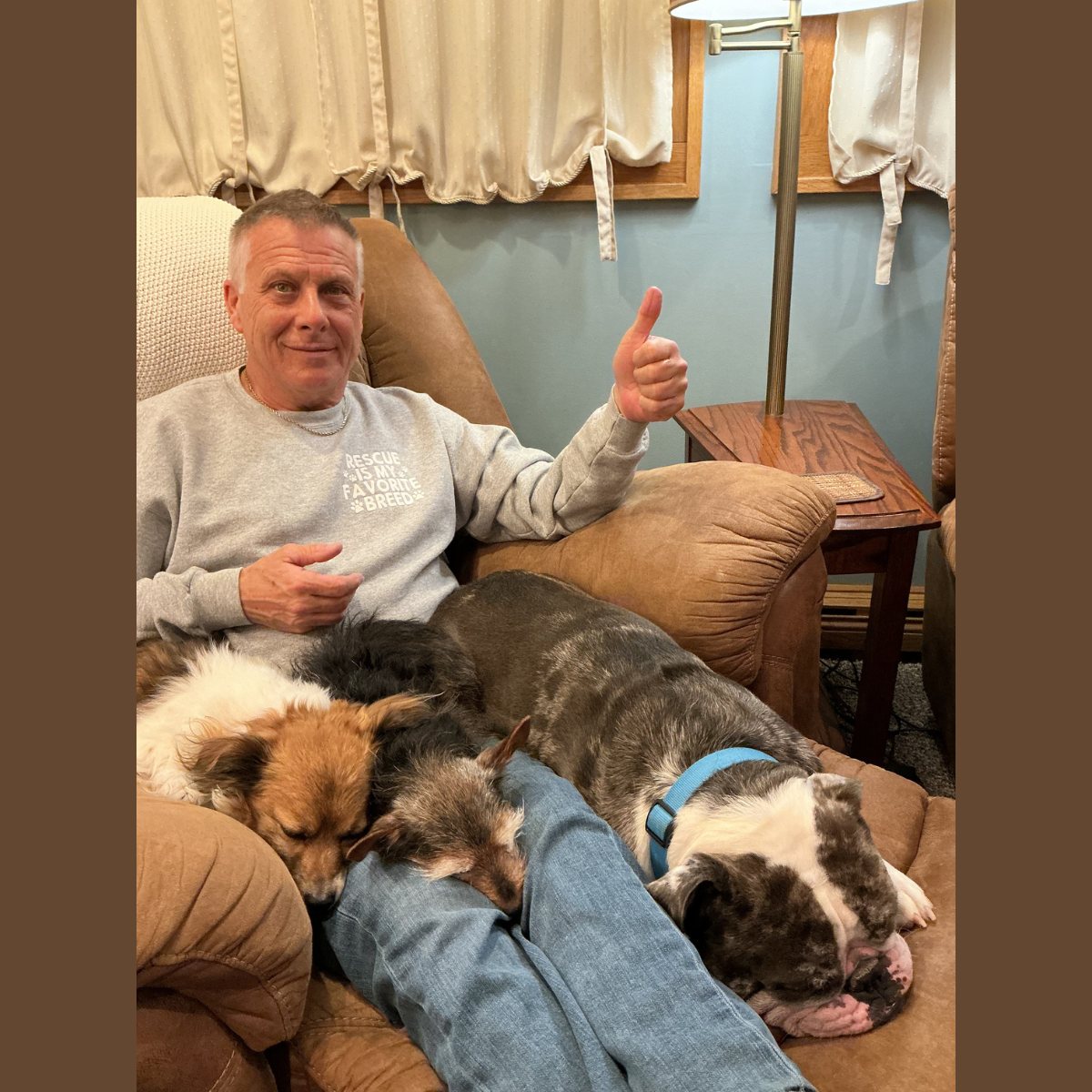 A man sitting on a beige armchair with three dogs sleeping on and around his legs. He is giving a thumbs-up gesture and smiling. The room has light blue walls, cream-colored curtains, and a wooden side table with a lamp.
