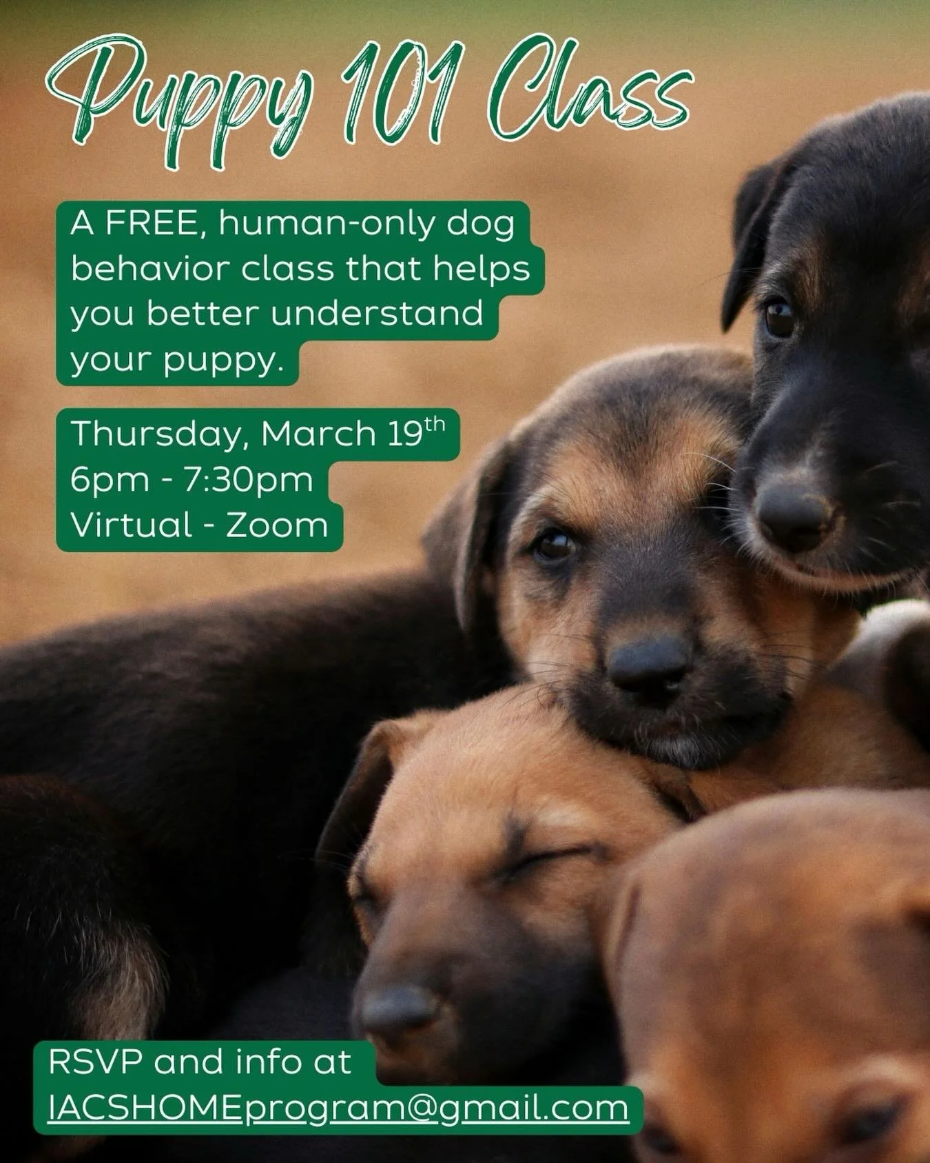 🐾 FREE &ldquo;Puppy 101&rdquo; Class 🐾

Do you have a new little furry family member at home? Are they (maybe) driving you (just a little) nuts? We&rsquo;ve got just the class for you! 🐶 

We&rsquo;re funding a FREE virtual &ldquo;Puppy 101&rdquo;