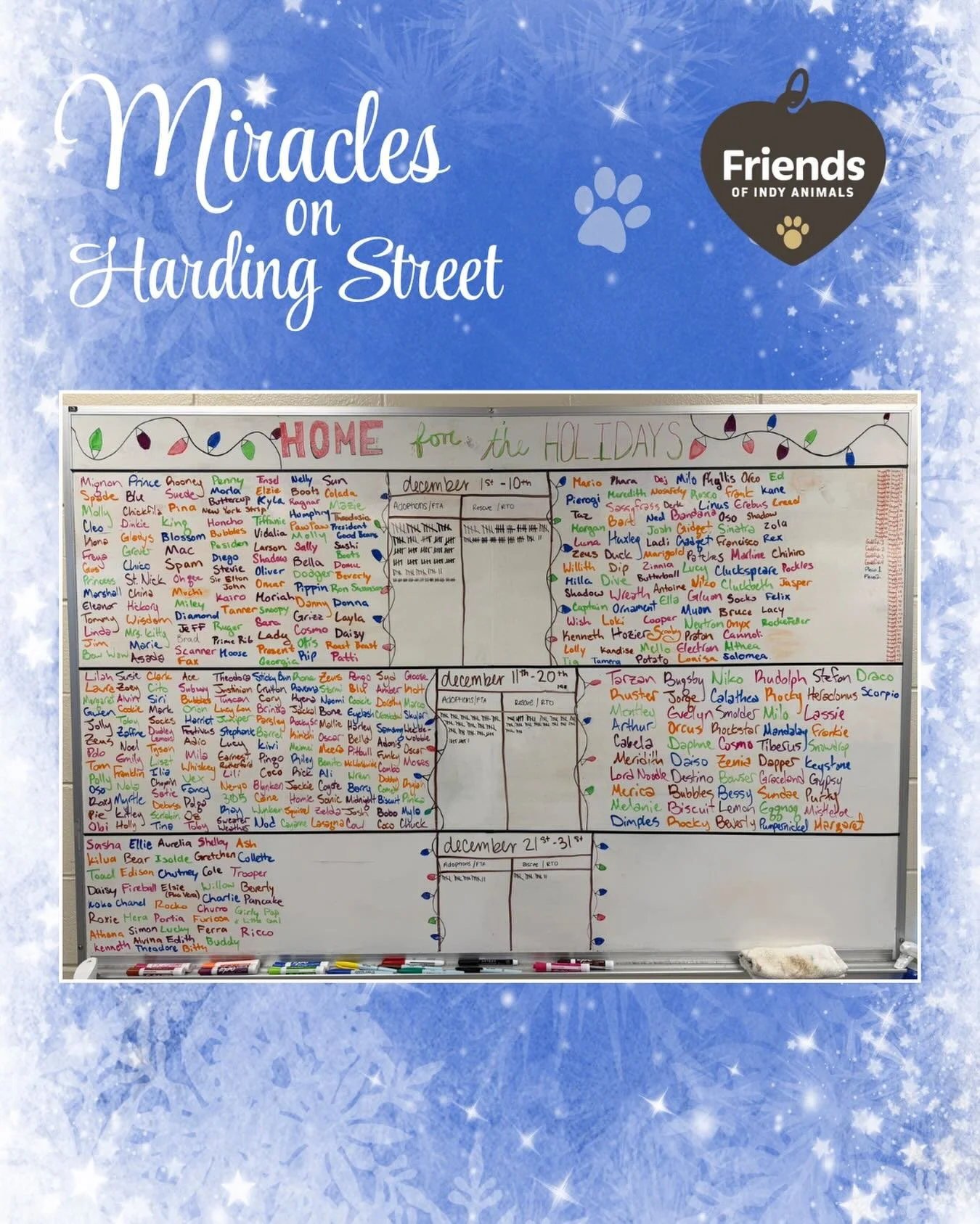 ✨ ❄️ Miracles happen every day on Harding Street ❄️ ✨

Take a look at this white board at @indyanimalcareservices listing every animal (dogs, cats, and yes, even a fish!) who found their very own home for the holidays. 🏠 🎄

Adoptions at IACS are fr