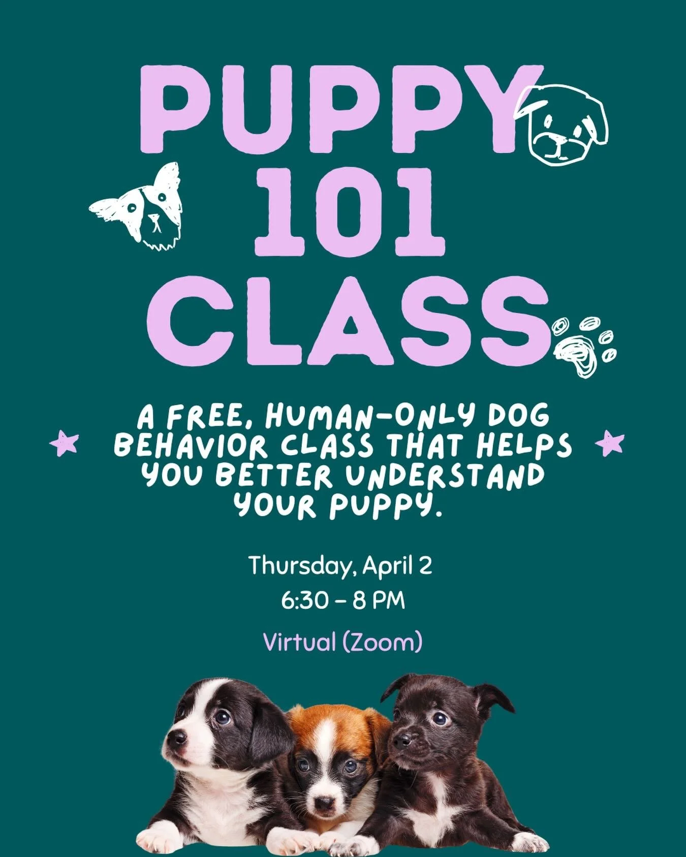 Calling all puppy adopters 🐶 We&rsquo;re hosting another free virtual class, just for you! JoAnna Rogowski with @thedoganalyst will start the class with a short talk that will cover reading puppy body language, basic training, preventing common unwa