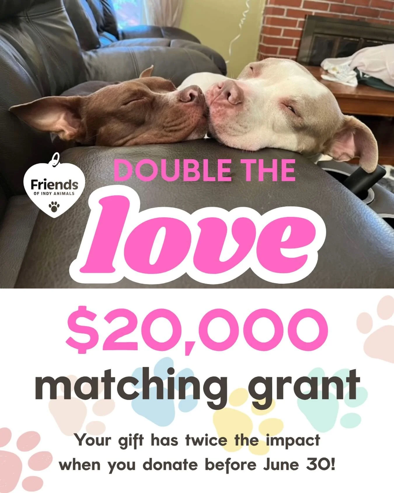 💕 🐾 DOUBLE THE LOVE AND DOUBLE YOUR IMPACT 🐾 💕 

When you make a donation in June, every dollar you give counts as two! ✌️ 

Thanks to a special anonymous donor, we&rsquo;ve received a matching grant that will double your donation, up to $20,000.