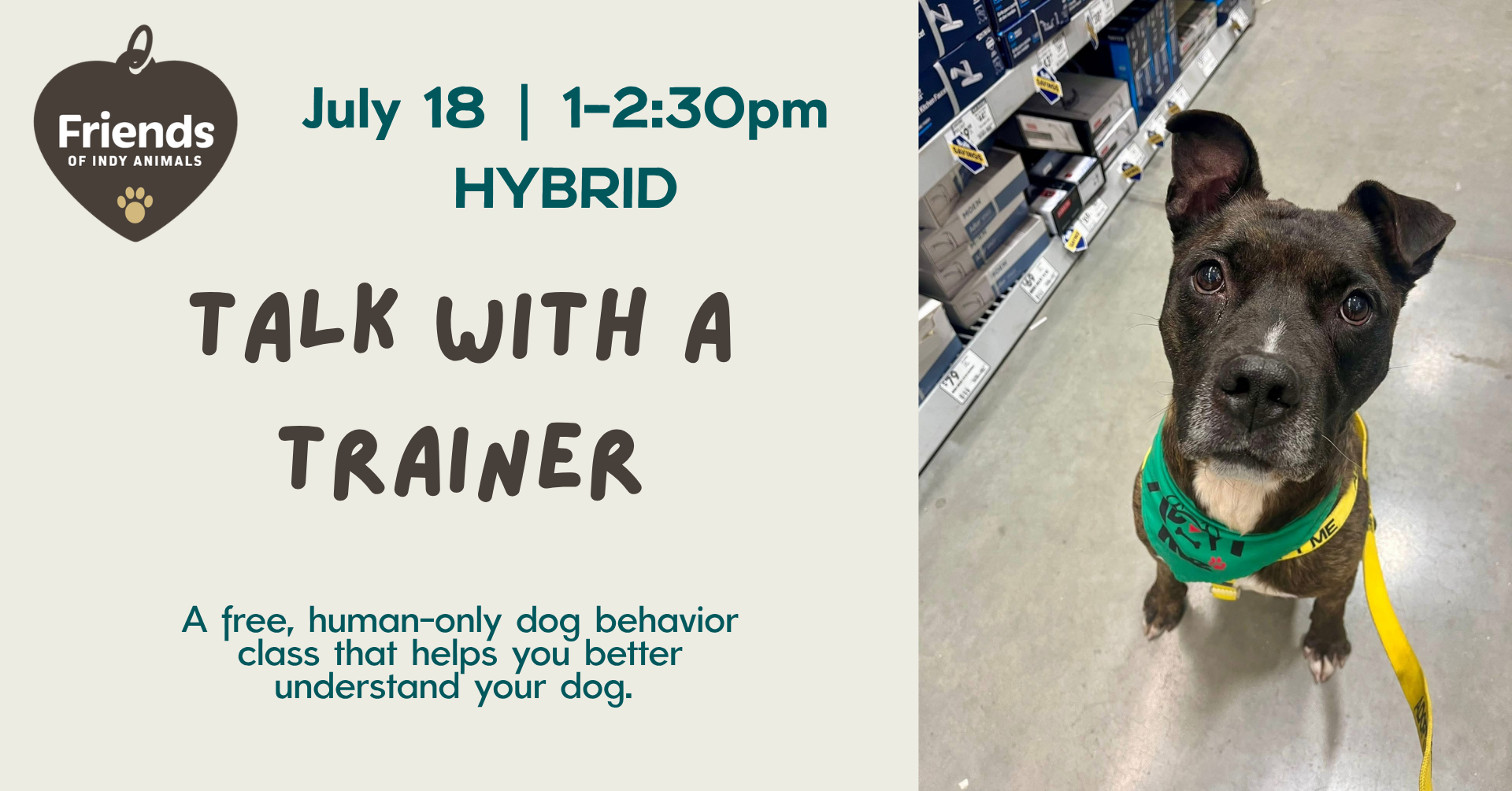 Talk With A Trainer: Advocating for Your Dog
