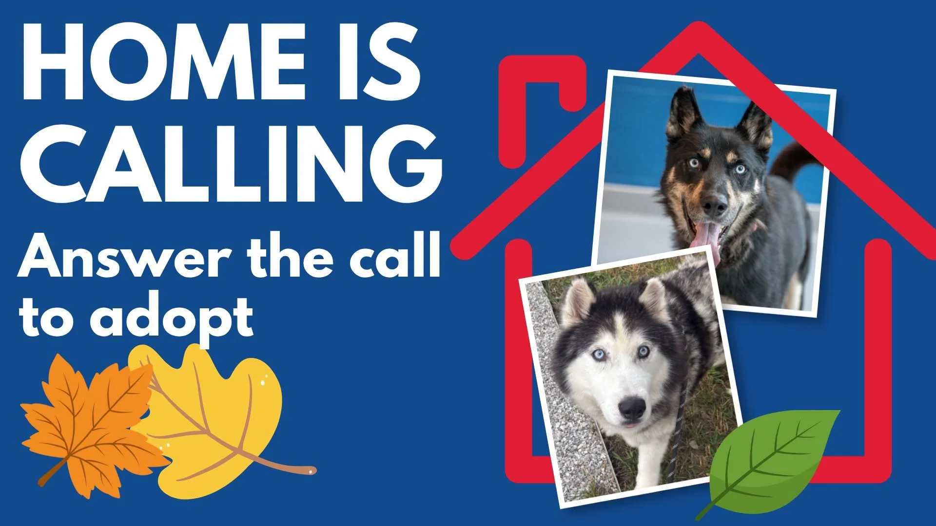 Home is Calling Adoption Event